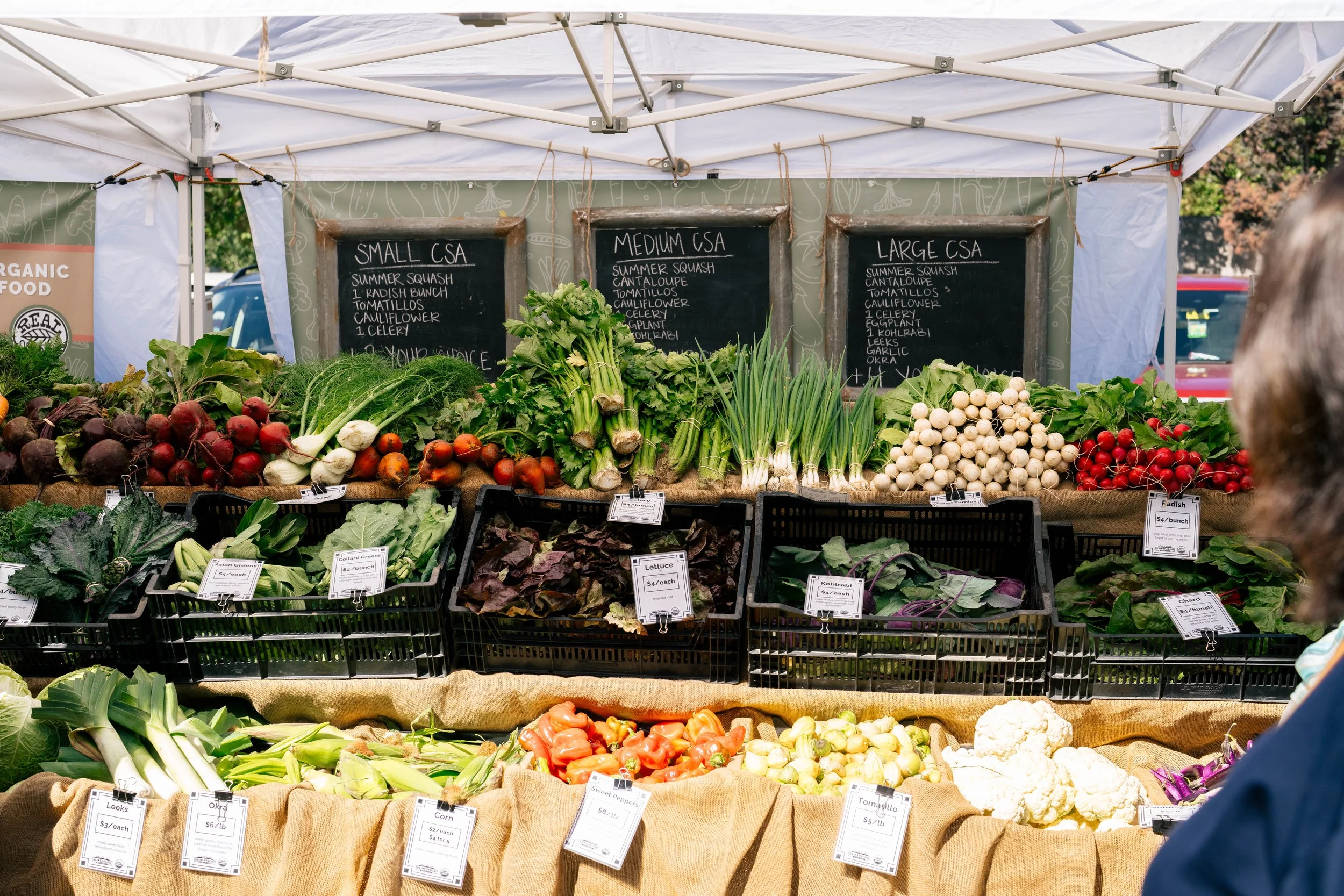Community Supported Agriculture (CSAs) in Central Oregon