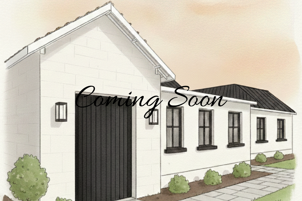 The Portlaoise New Build