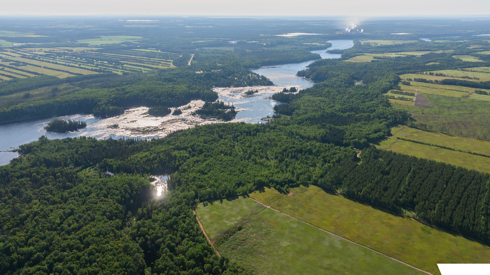 Vaste paysage de forêt, rivière et champs agricoles vus du ciel, avec un déversement d'eau ou de débris sur la rivière.
