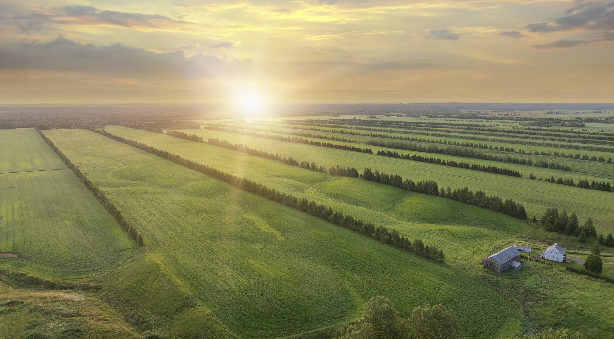 LES TERRAINS ZONÉS VERTS : COMPRENDRE LE ZONAGE AGRICOLE AU QUÉBEC