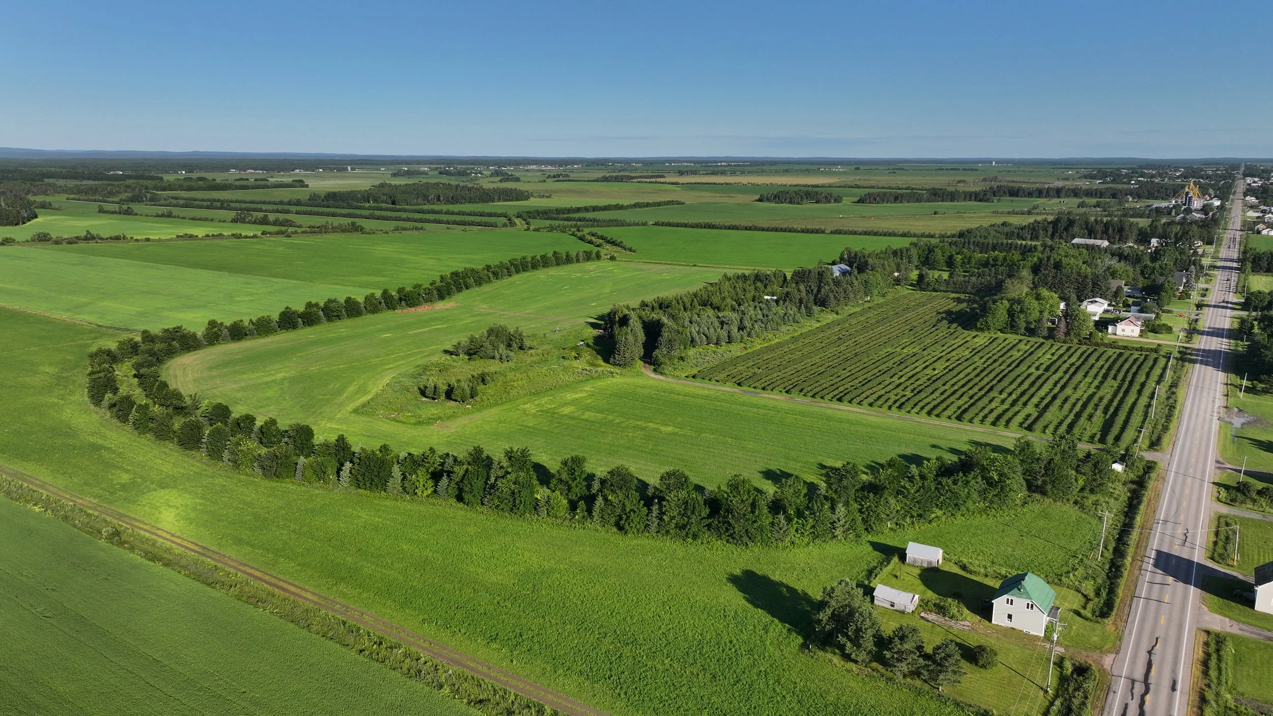 Au-delà de la ferme : les retombées collectives de la zone agricole au Québec