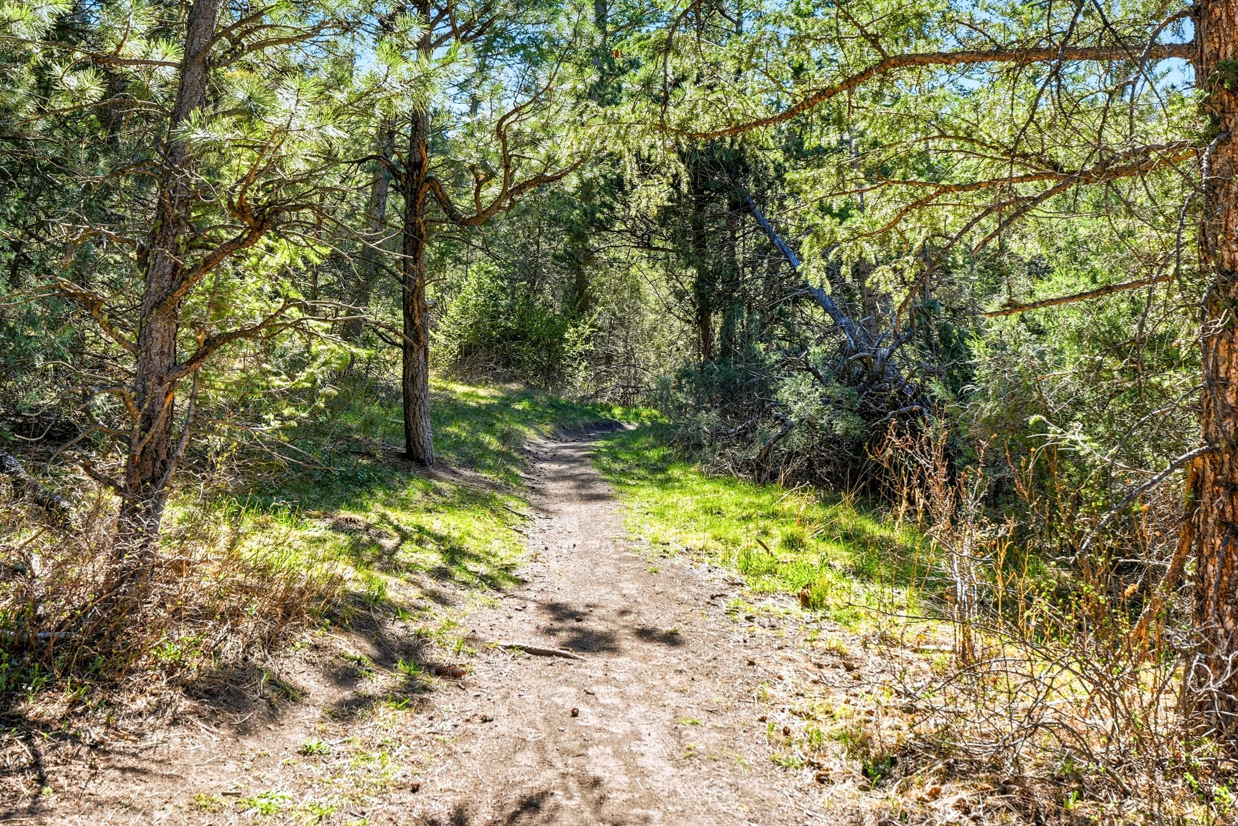 45_a7405085.jpg