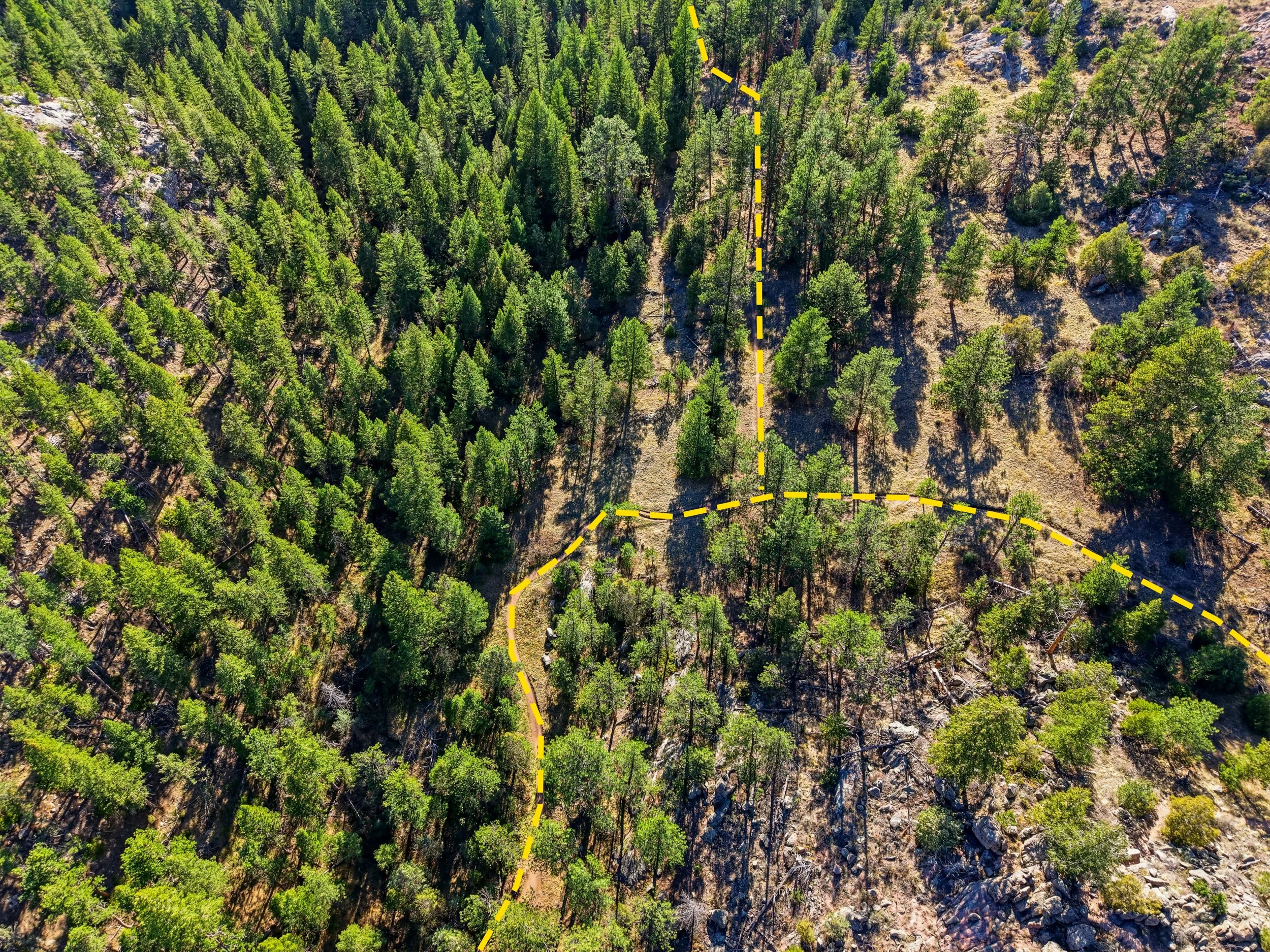 55_dji_20260402165201_0472_d-edit.jpg