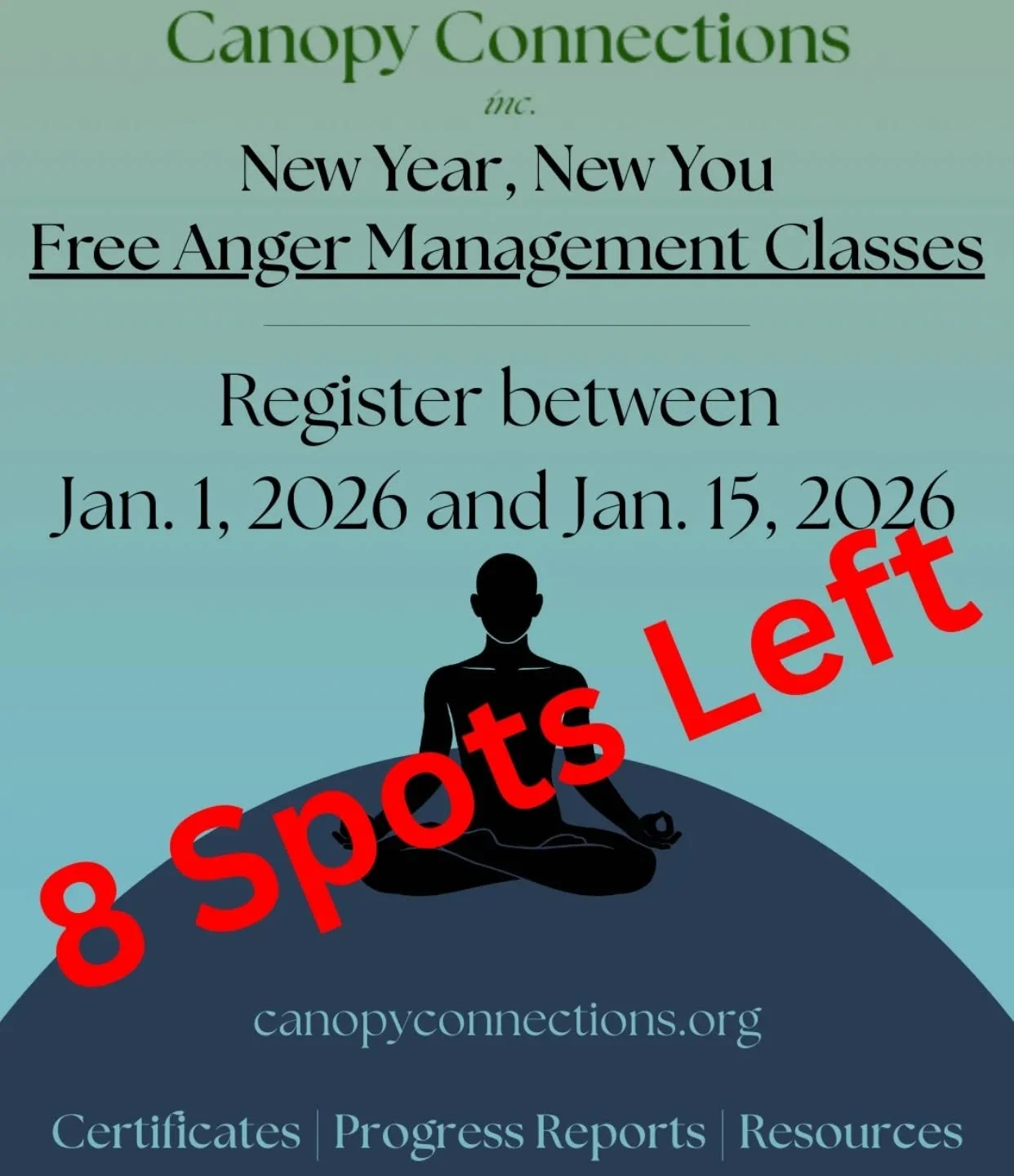 We are running out of space for the free classes! Visit our website or contact us directly to register before January 15th, 2026!

#happynewyear #newyearnewme #angermanagement
