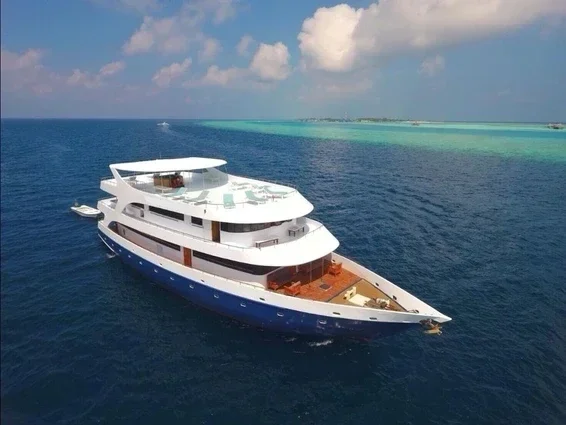 Maldavian+Dream+boat+photo.webp