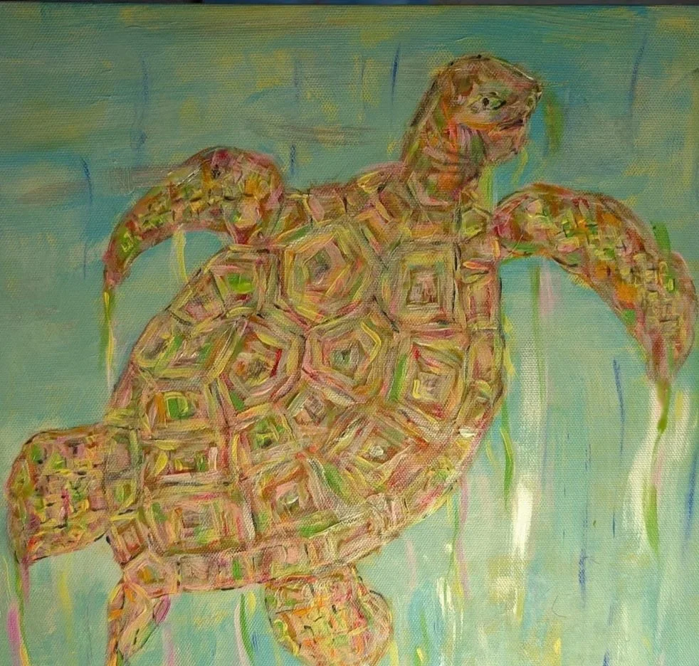 turtle1.jpg