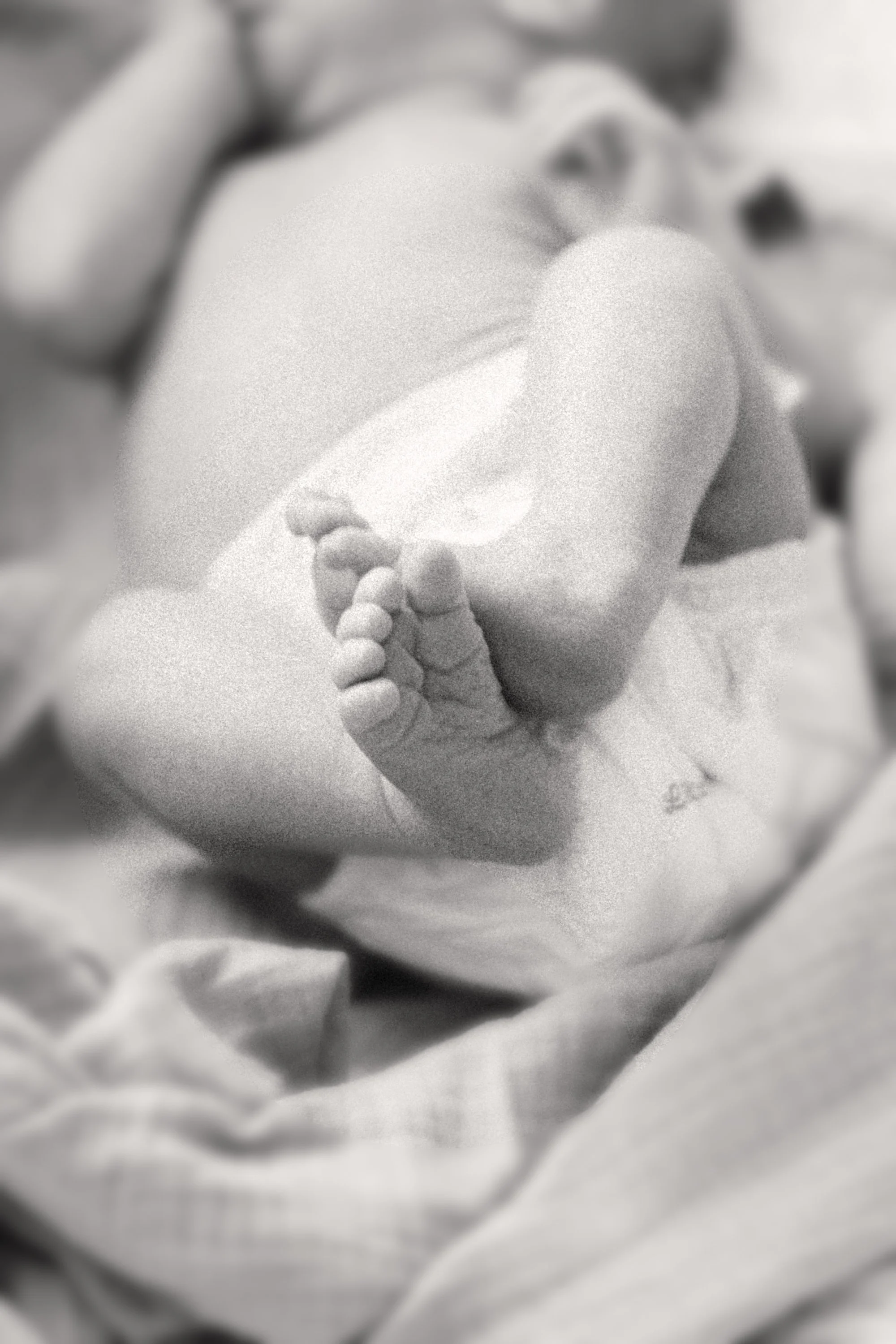 Oliver-011.jpg