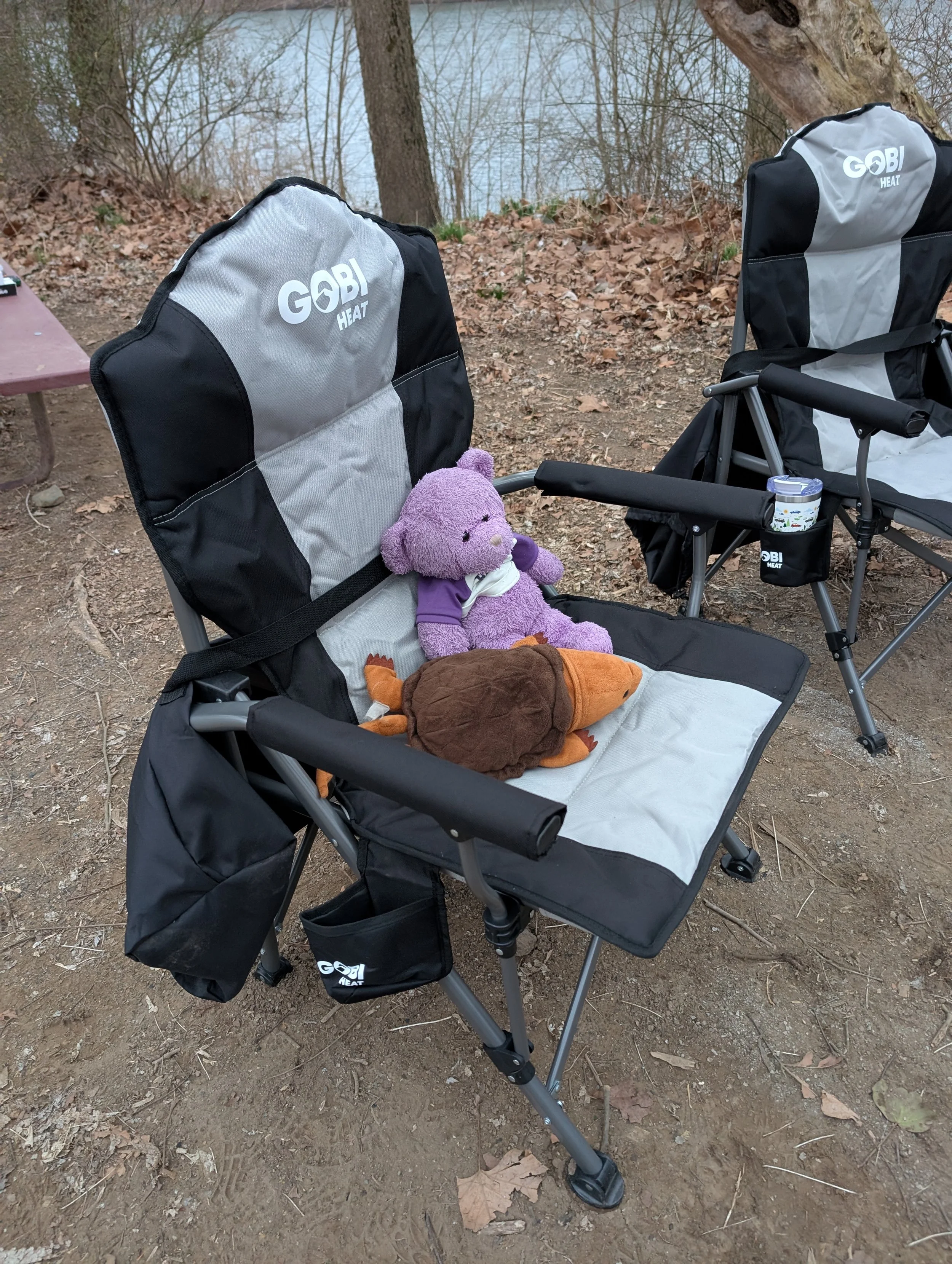 Two camping chairs with "Gobi Heat" logos. A purple stuffed toy bear and plush snapping turtle sit on one chair