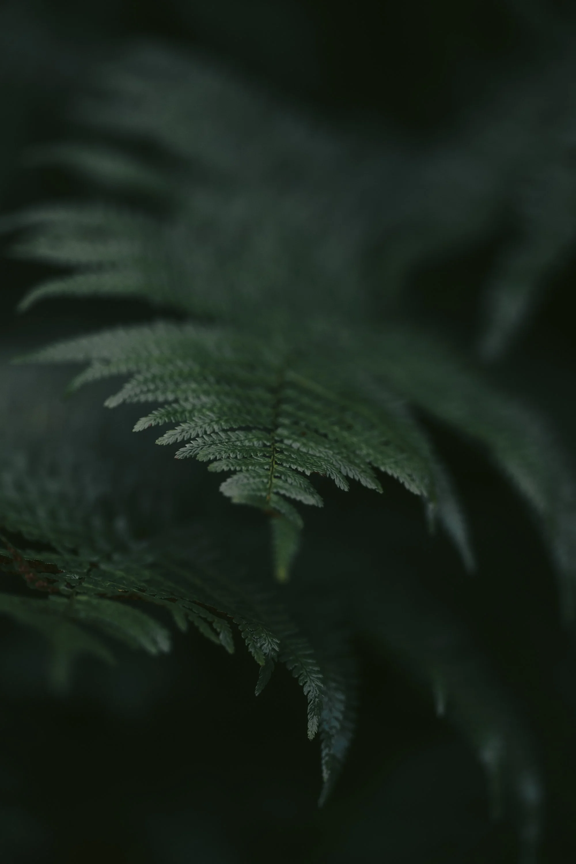 untitled-02280.jpg