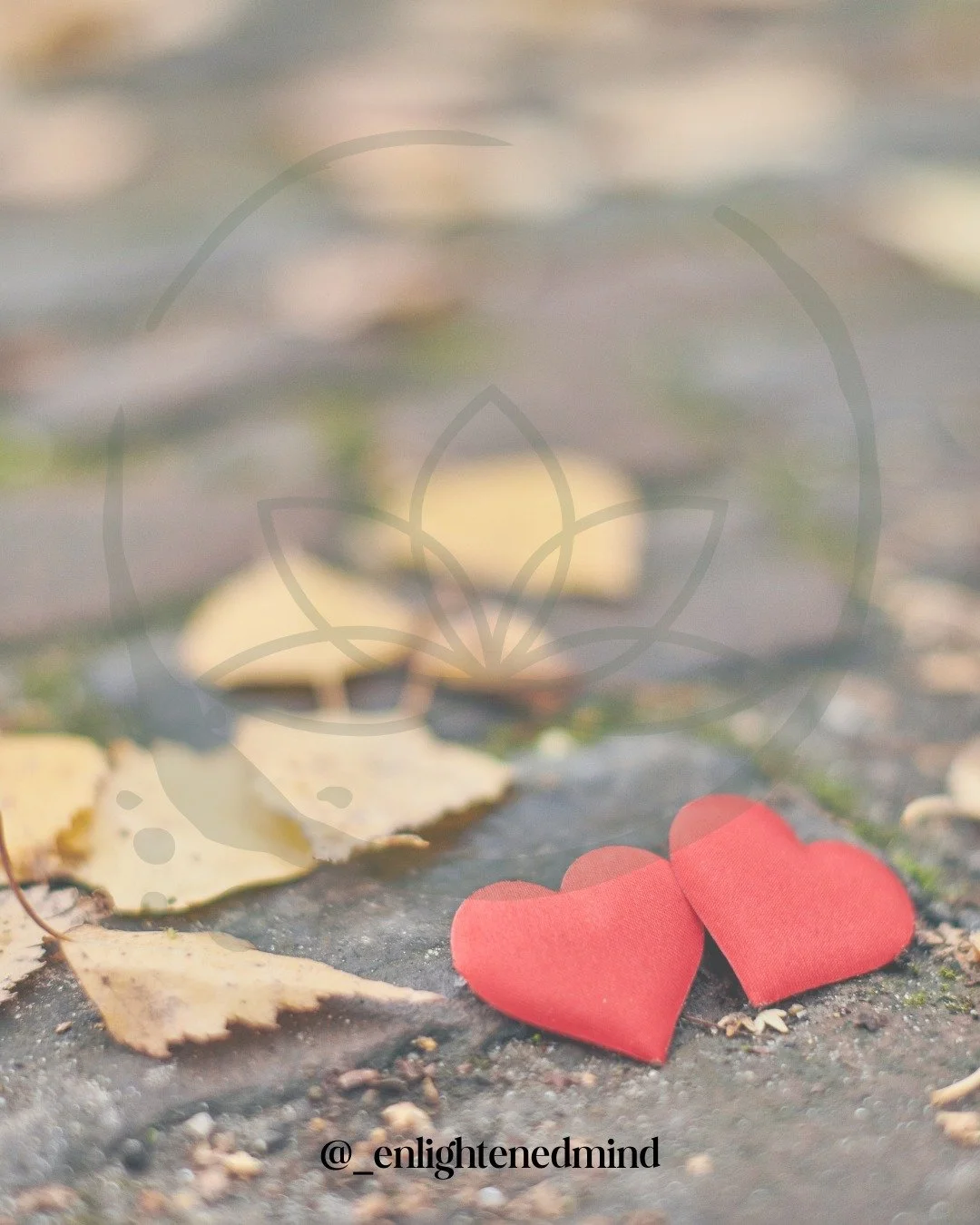 Happy Monday!

Being kind right now can feel small in a world that feels heavy, loud, and full of anger. But kindness isn&rsquo;t weak&mdash;and it isn&rsquo;t naive. It&rsquo;s intentional. It&rsquo;s choosing softness when bitterness would be easie