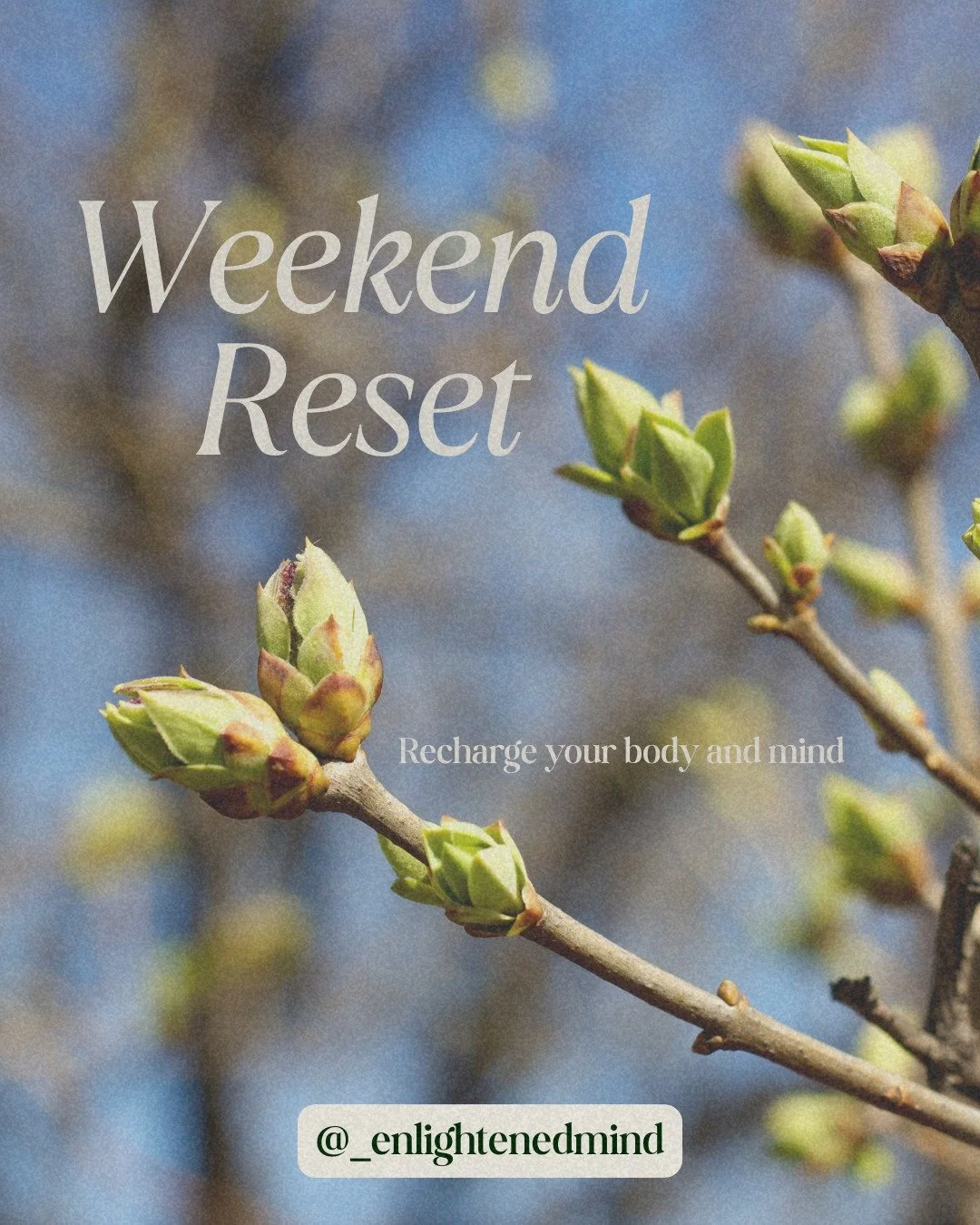 Spring is your reminder that you can begin again.

A mental health reset doesn&rsquo;t have to be drastic&mdash;
it can be as simple as slowing down, setting one boundary, or taking a deeper breath than you did yesterday.

You don&rsquo;t need a whol