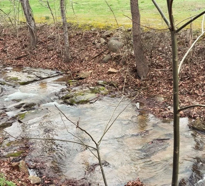 thursday girlies writing retreat 🌱✨📖✨🐝✨📚