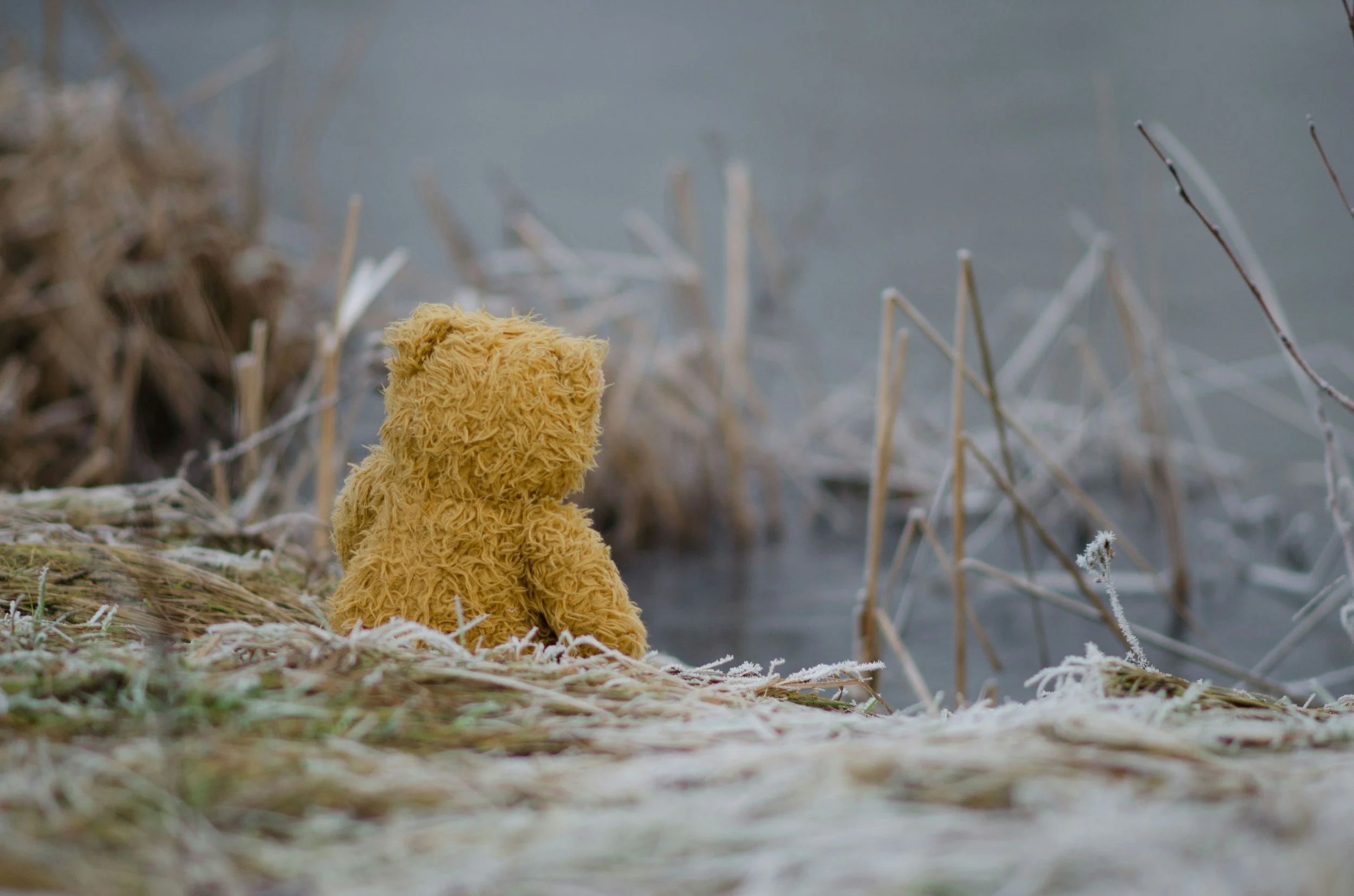 Lonely Doesn't Mean Broken