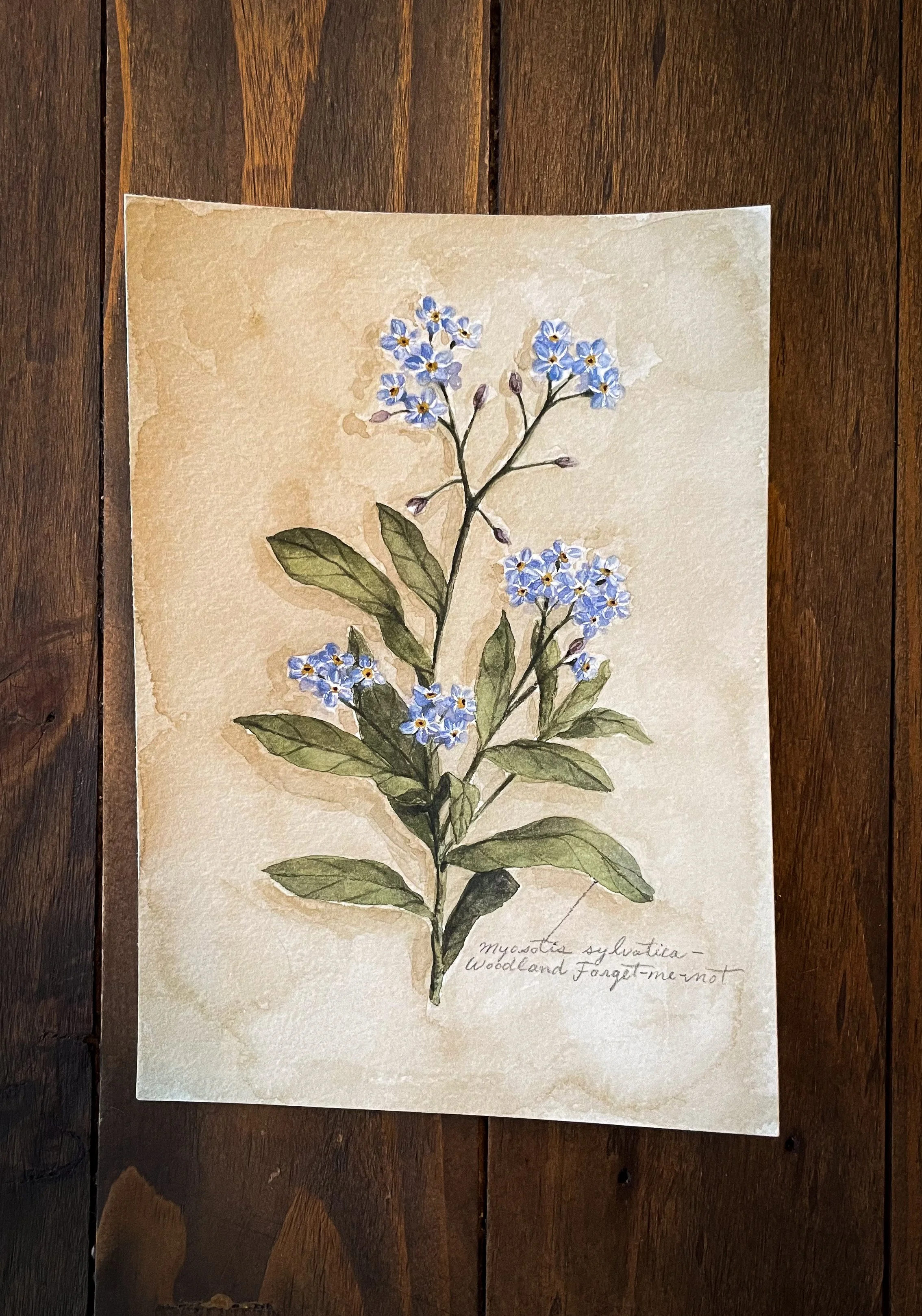 Mural mockup 1-57.jpg