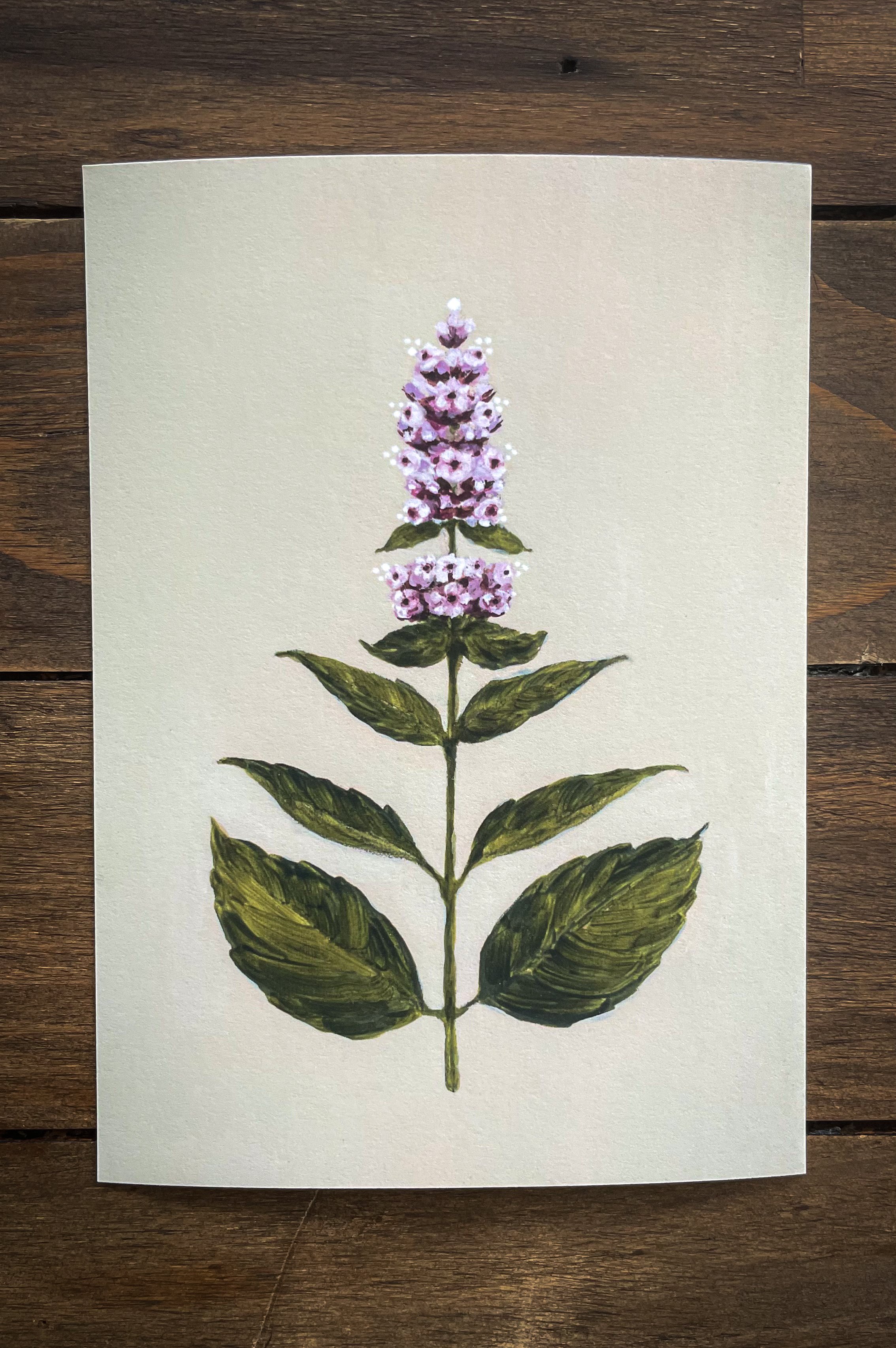 Botanical collection-3.jpg