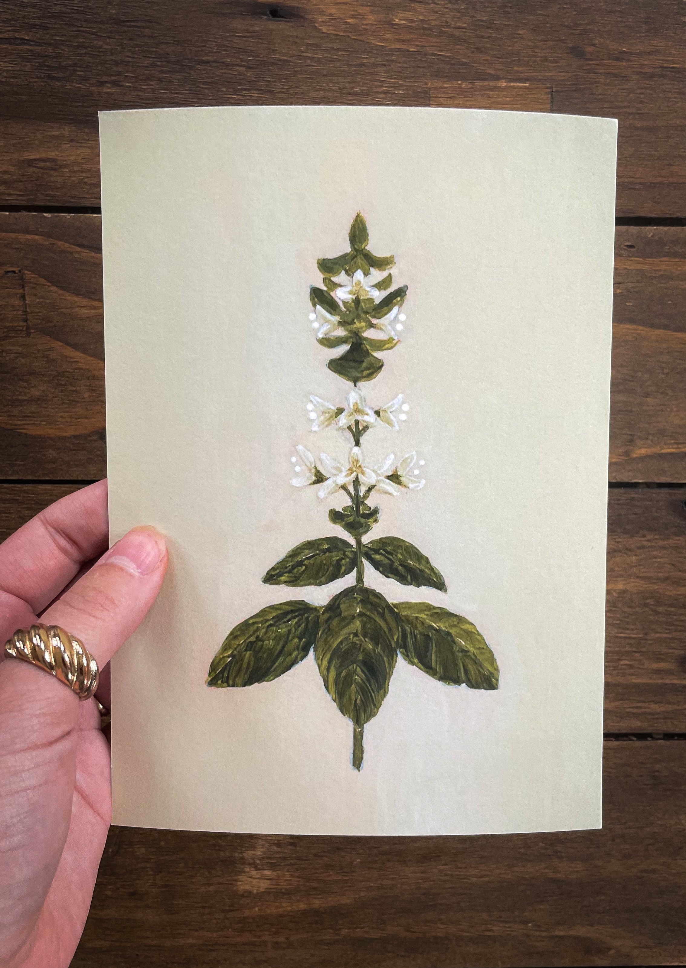 Botanical collection.jpg