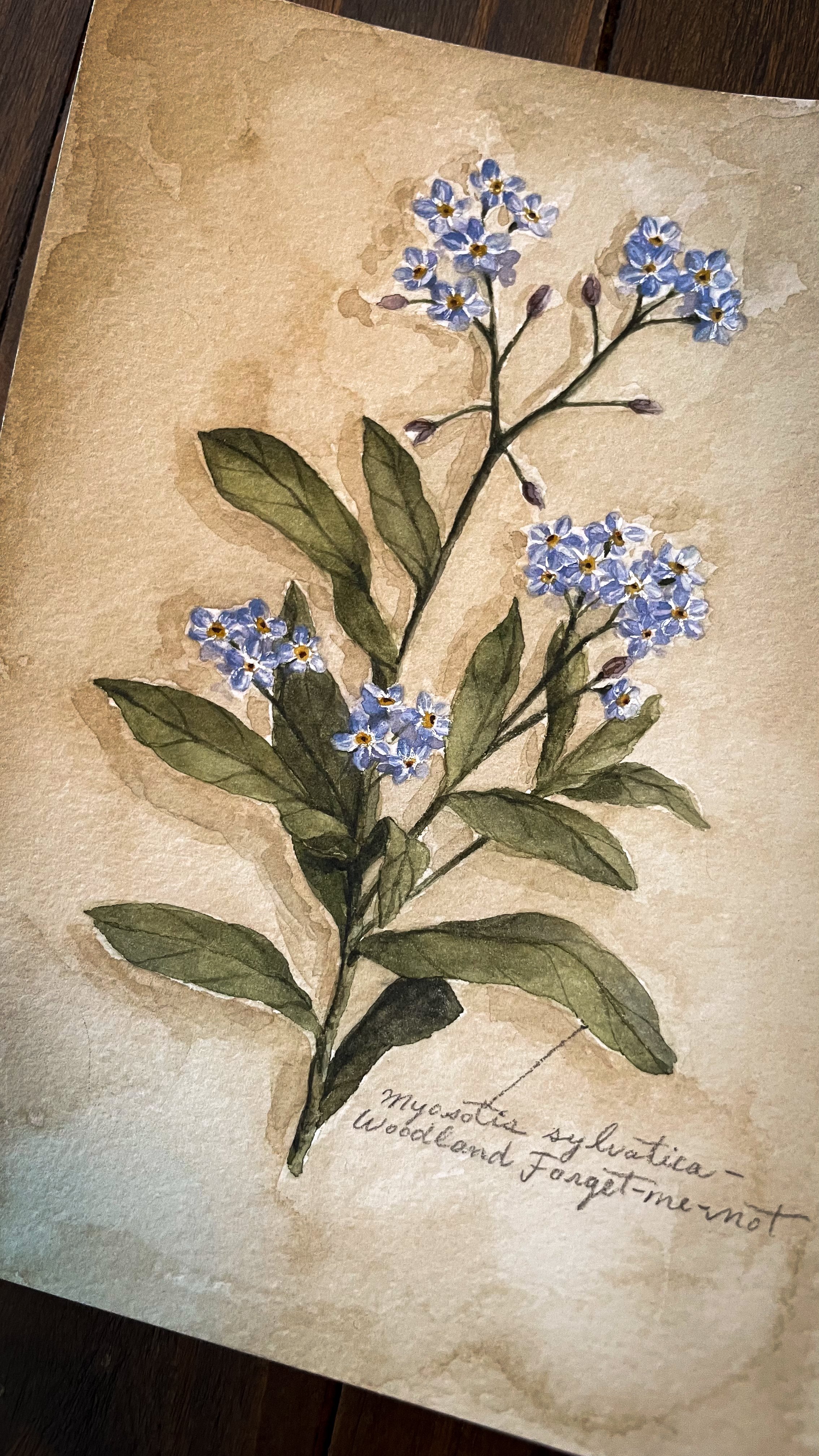 Mural mockup 1-58.jpg