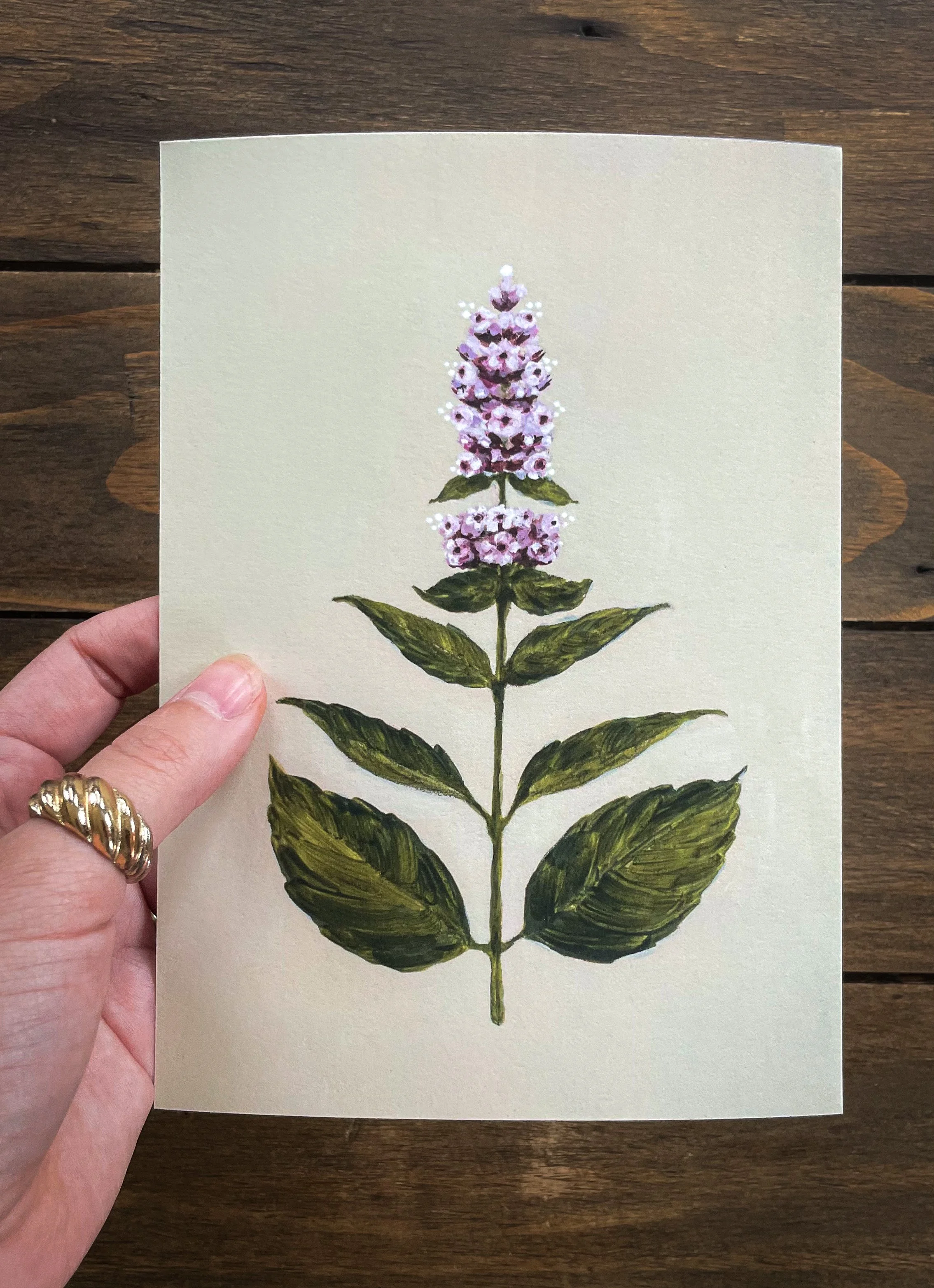 Botanical collection-4.jpg