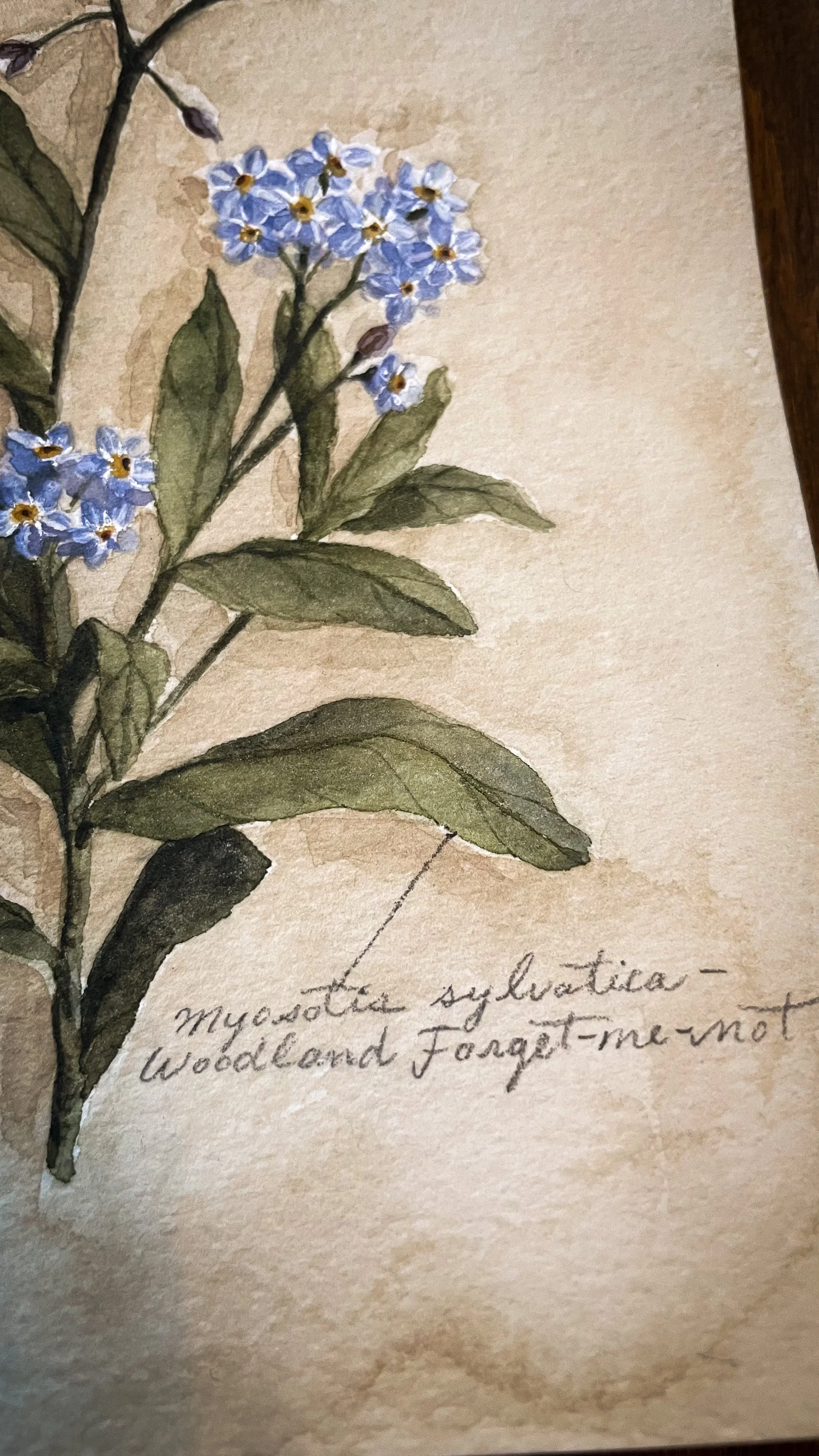 Mural mockup 1-59.jpg