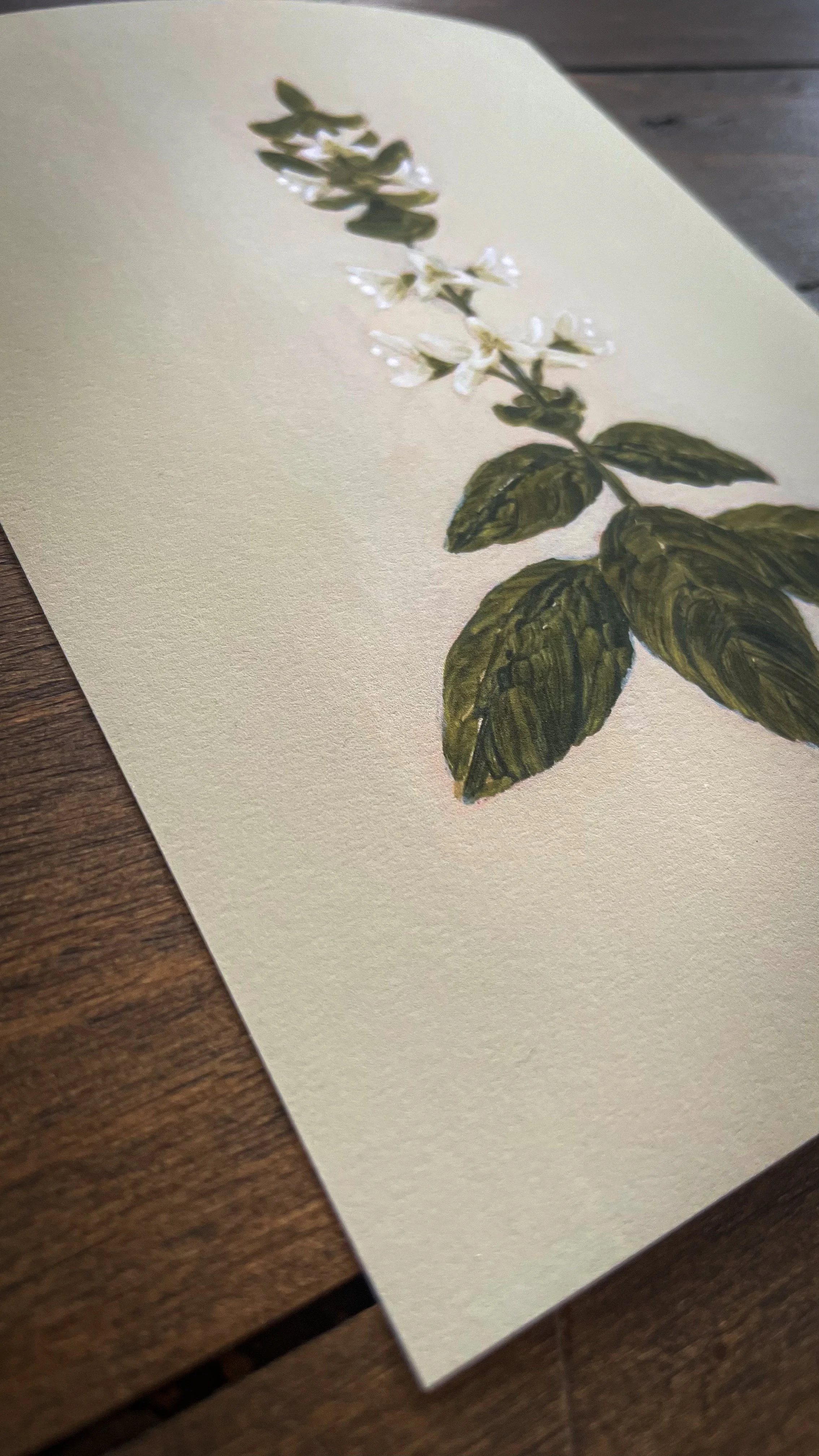 Botanical collection-2.jpg
