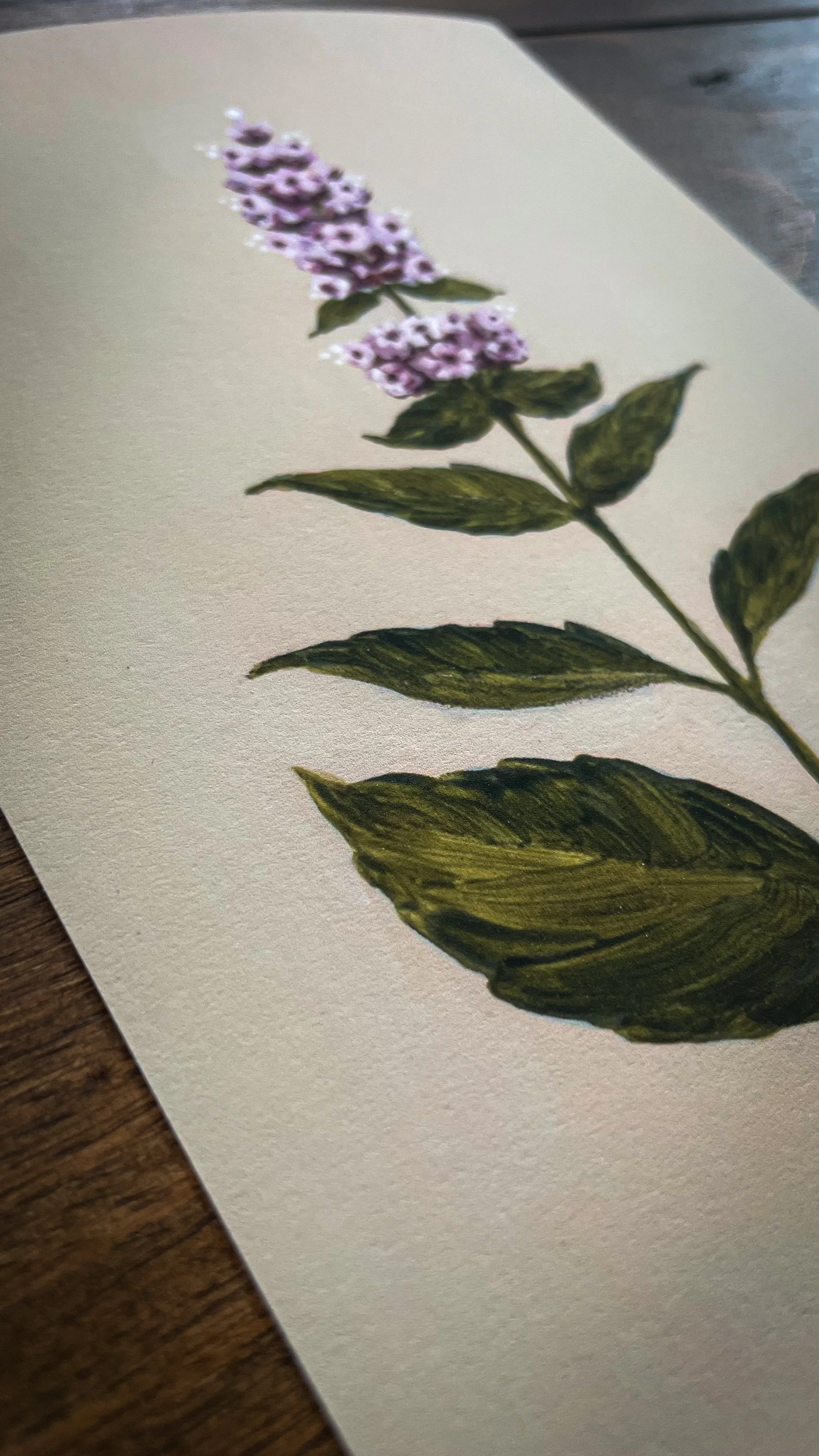 Botanical collection-5.jpg
