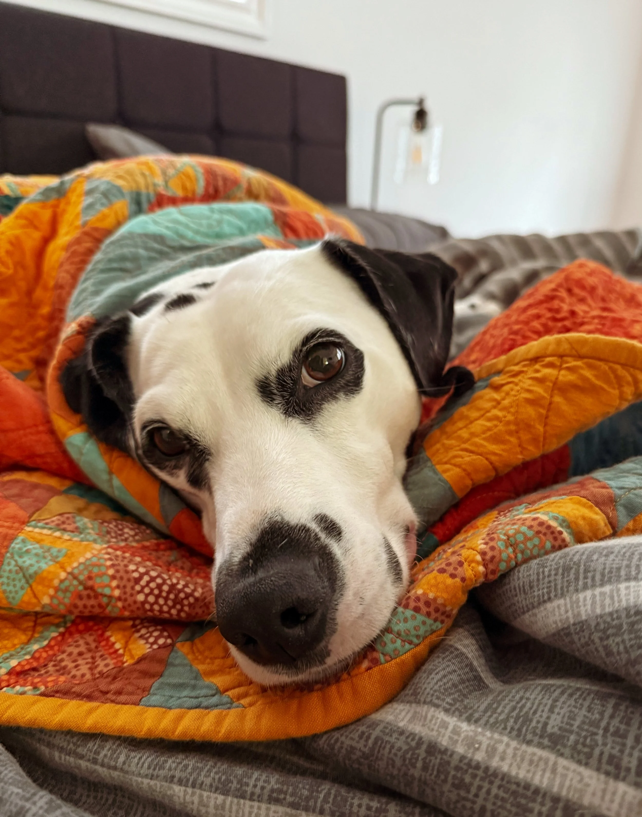 Overnight In-House Sitting