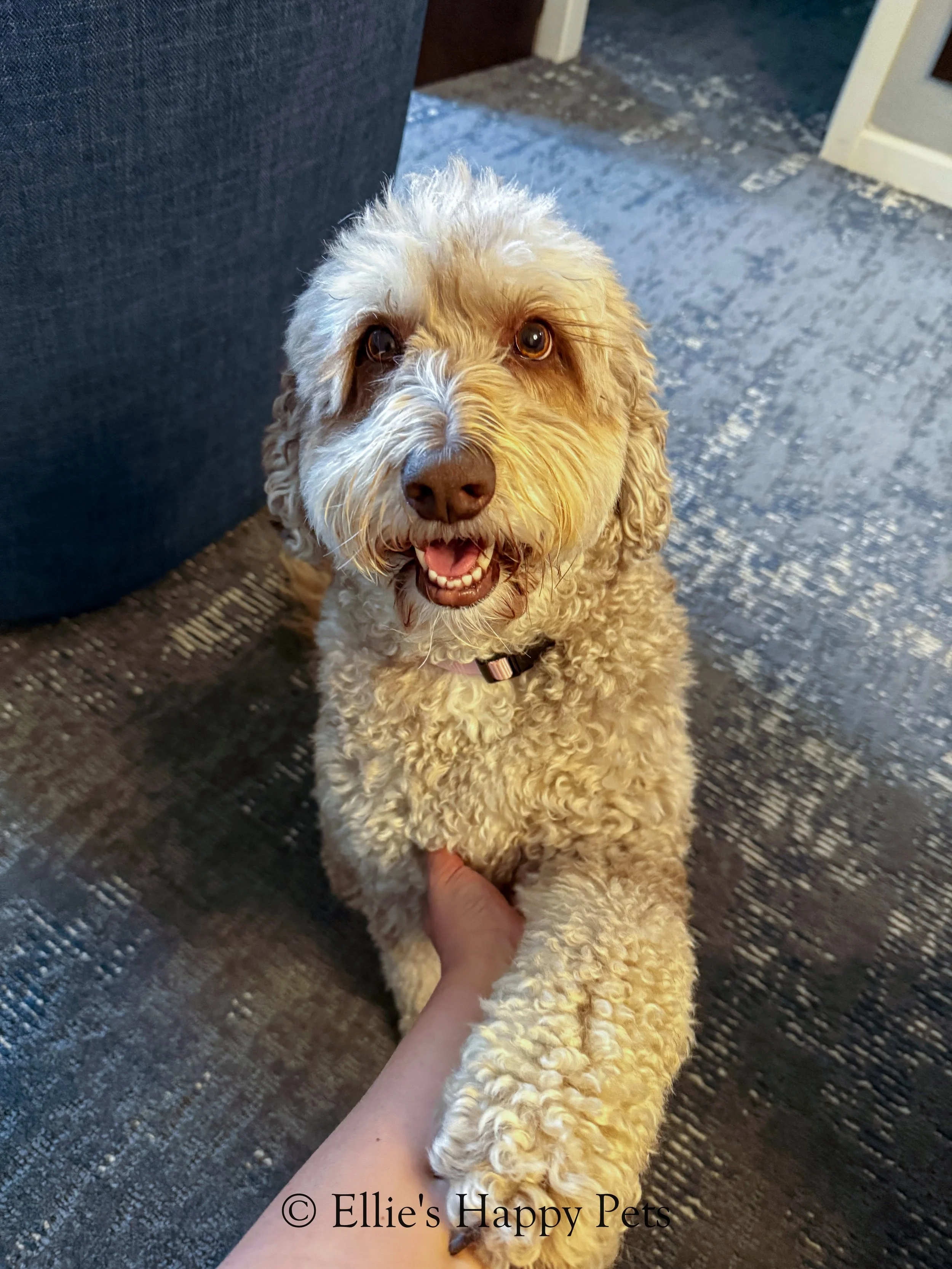 Drop-In Visits - Extended Time