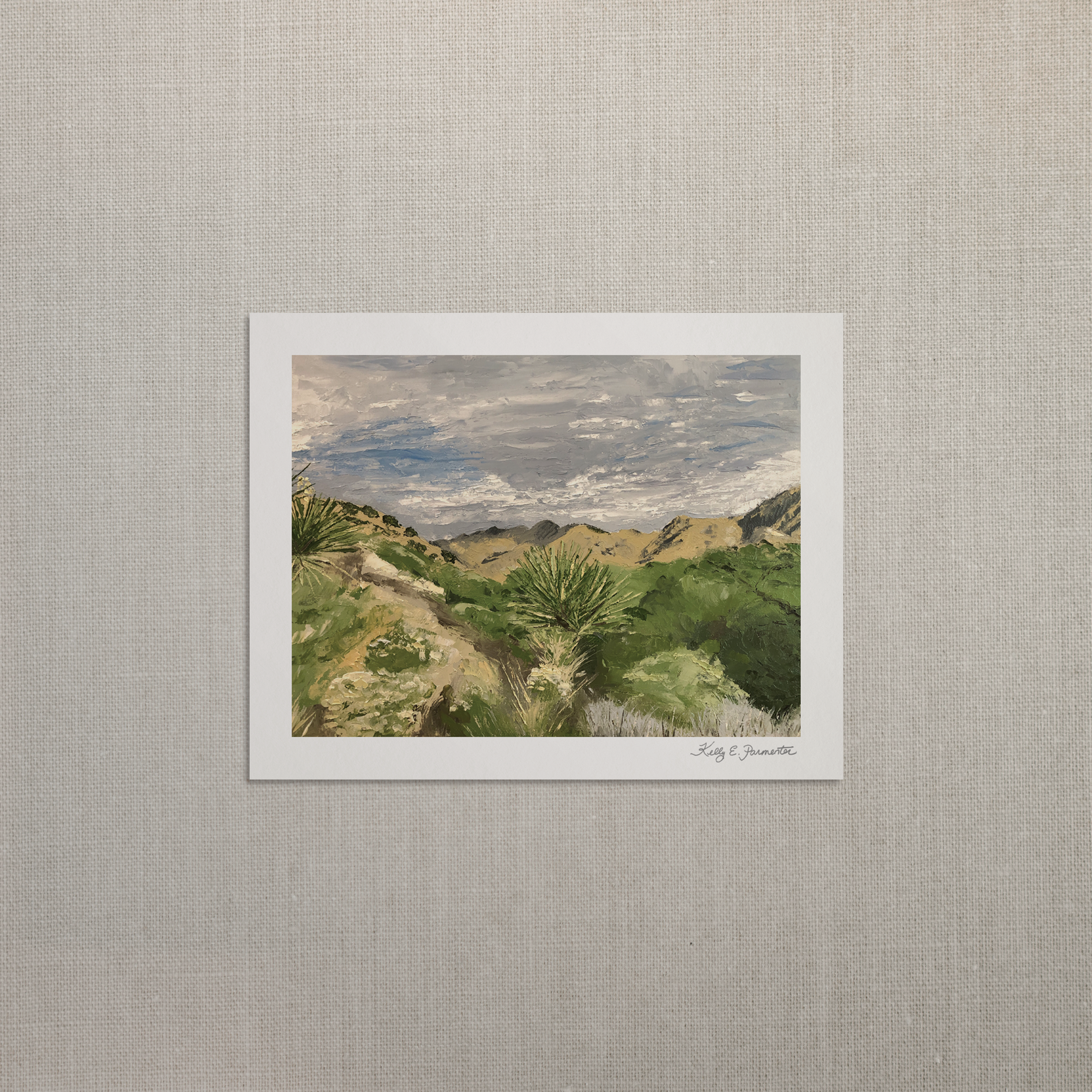 Big Morongo Canyon