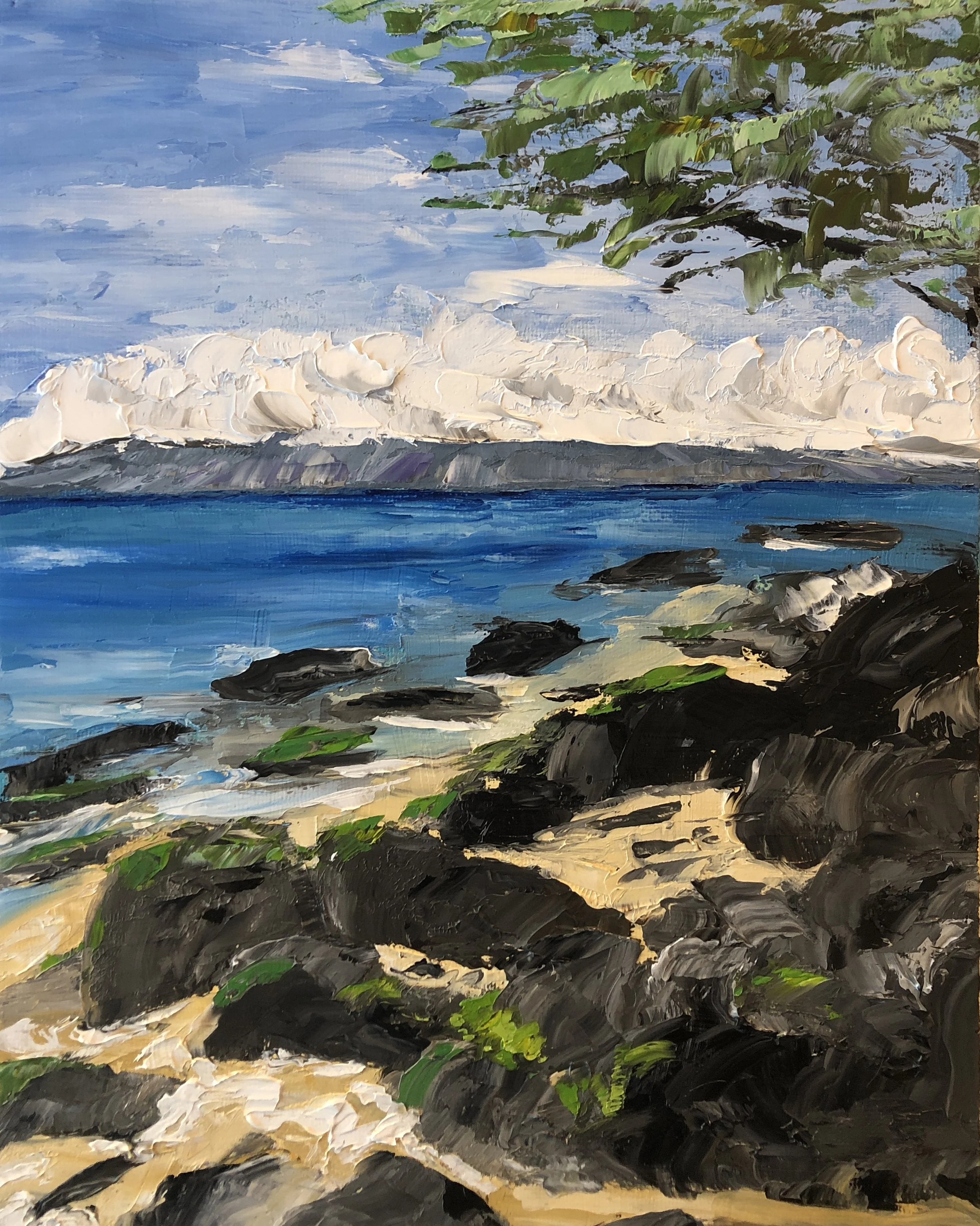 Moloka'i in the Sky (1).jpg
