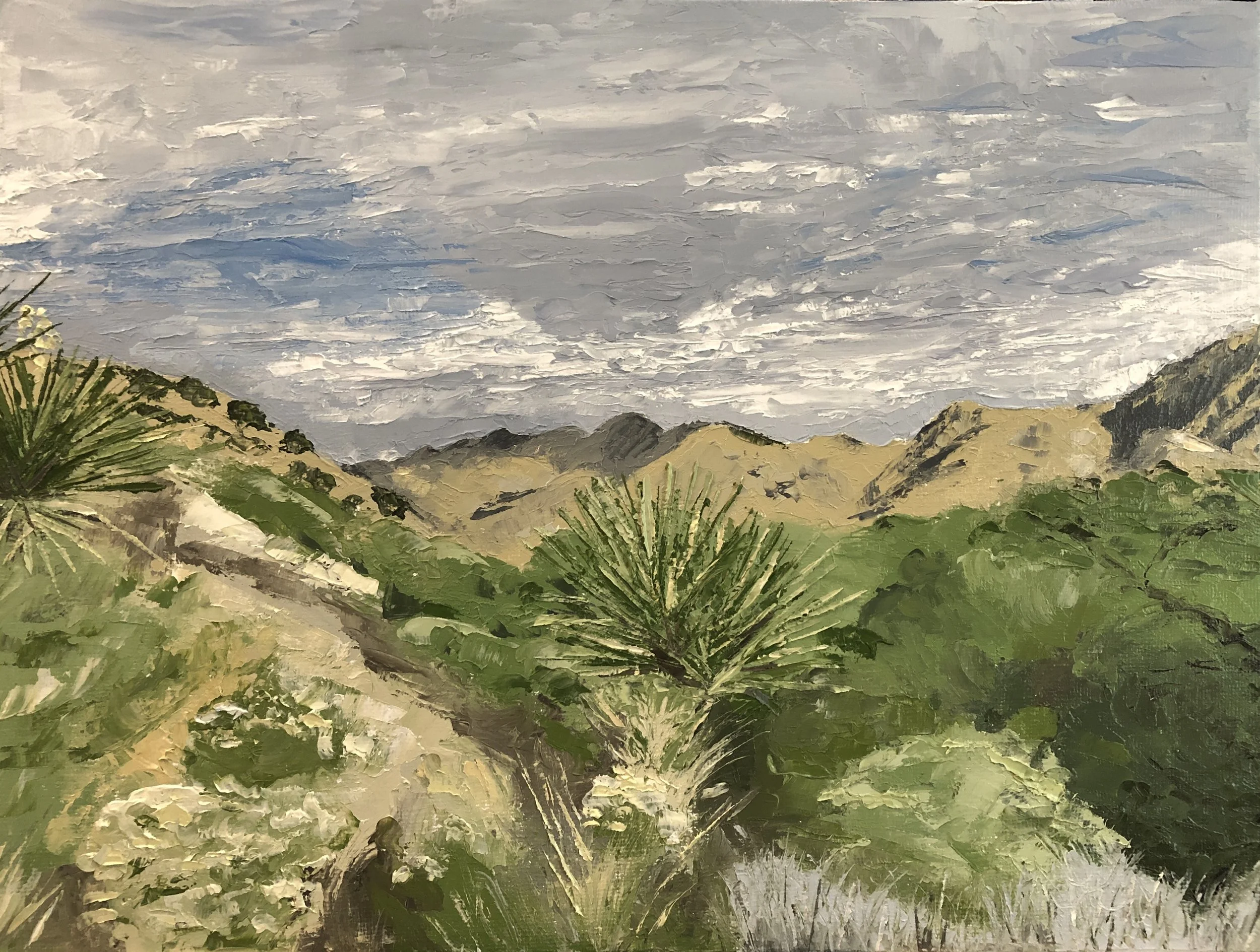 Big Morongo Canyon.jpg