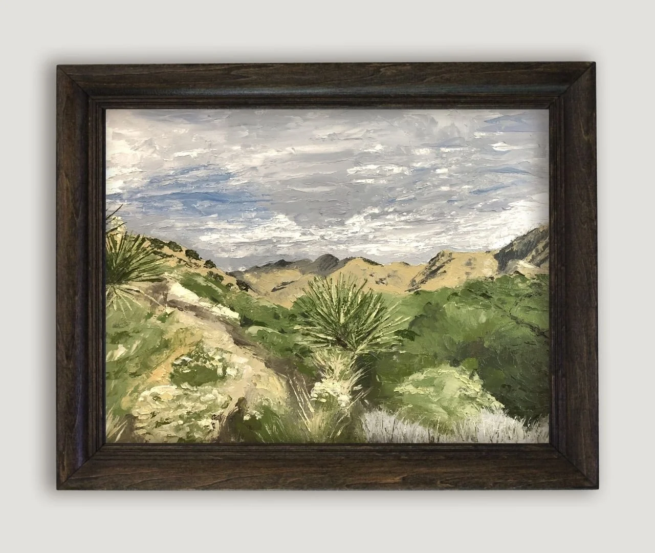 Big Morongo Canyon