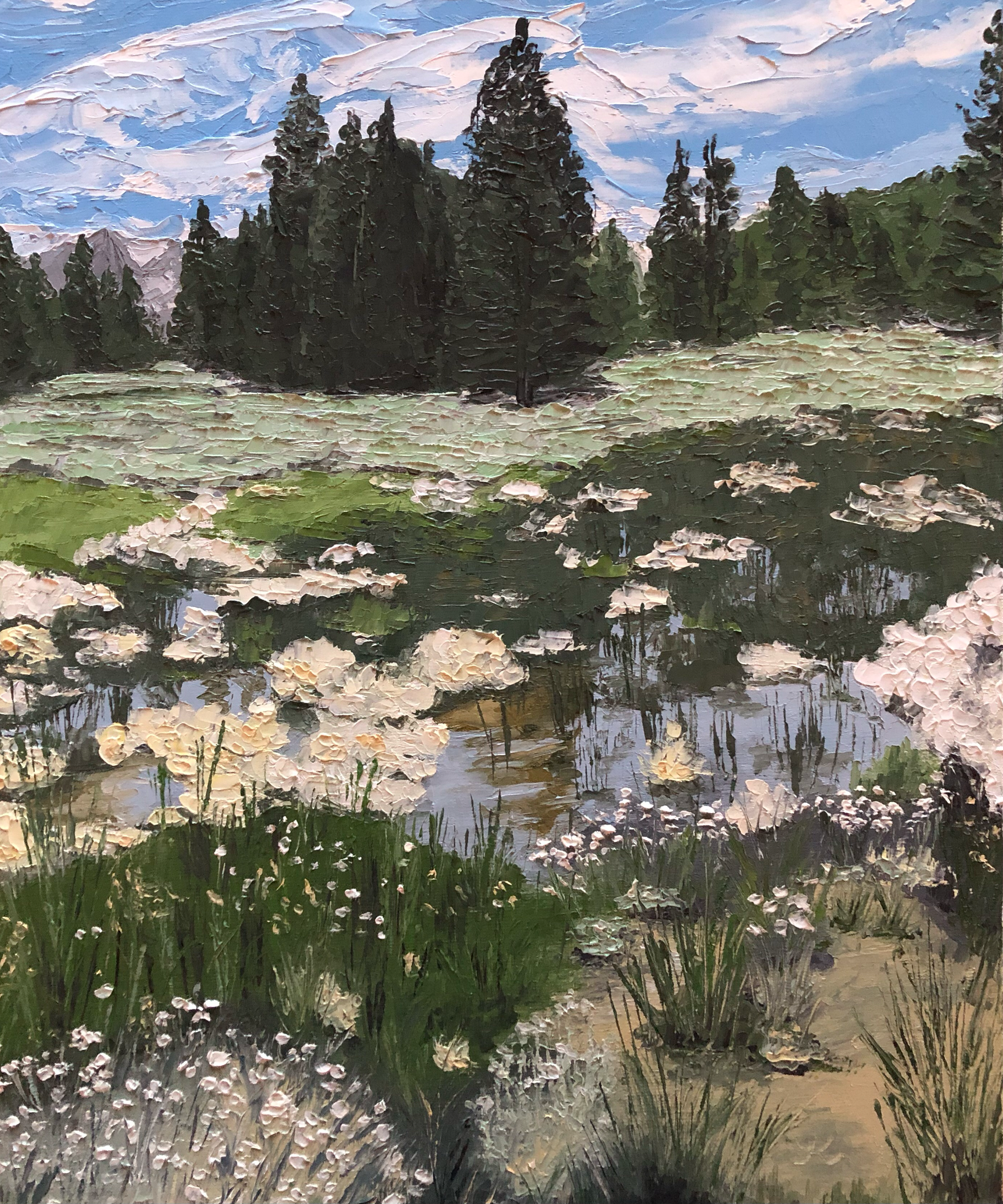 meadow.png