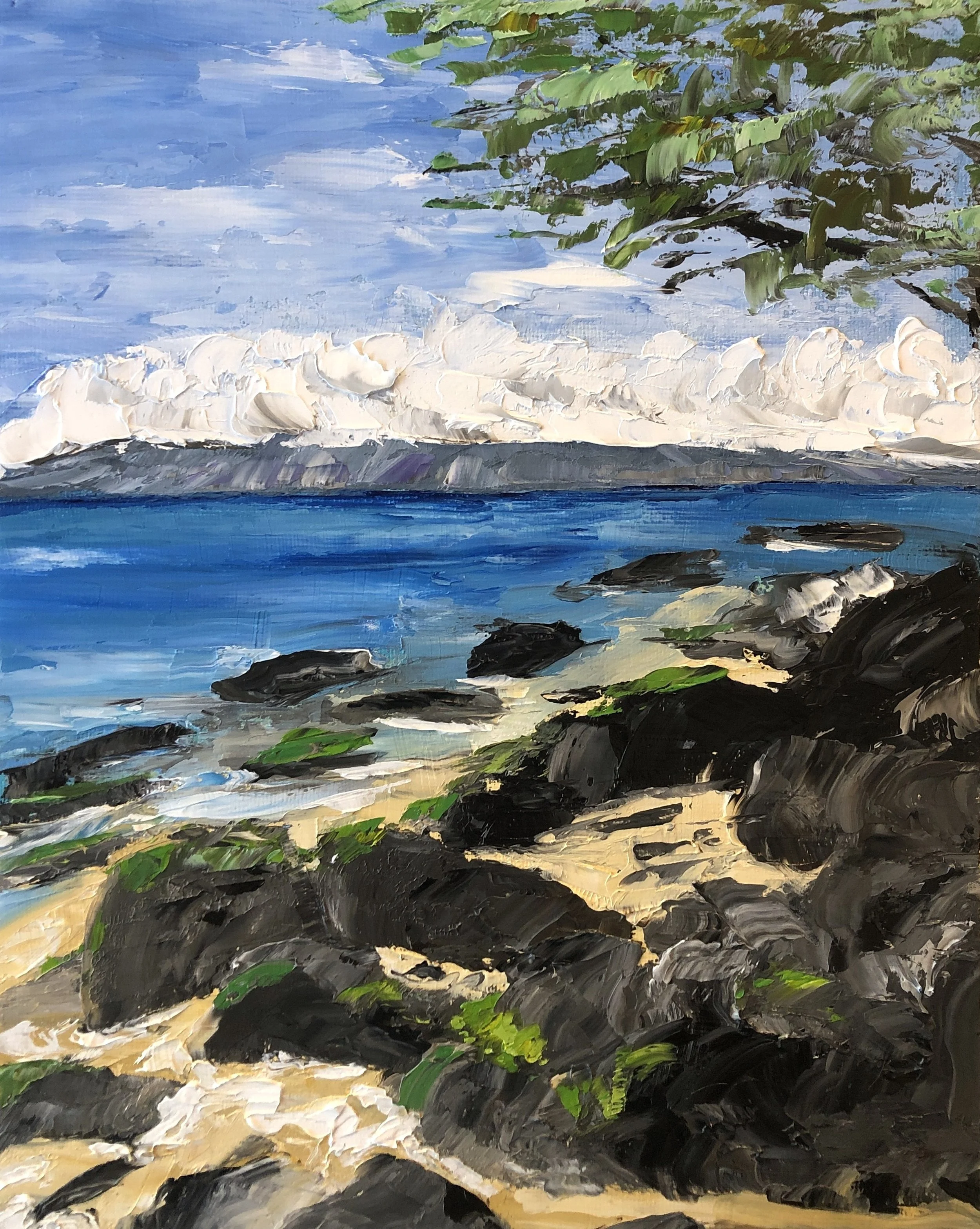 Copy of Molokai in the Sky_Recolored.jpg