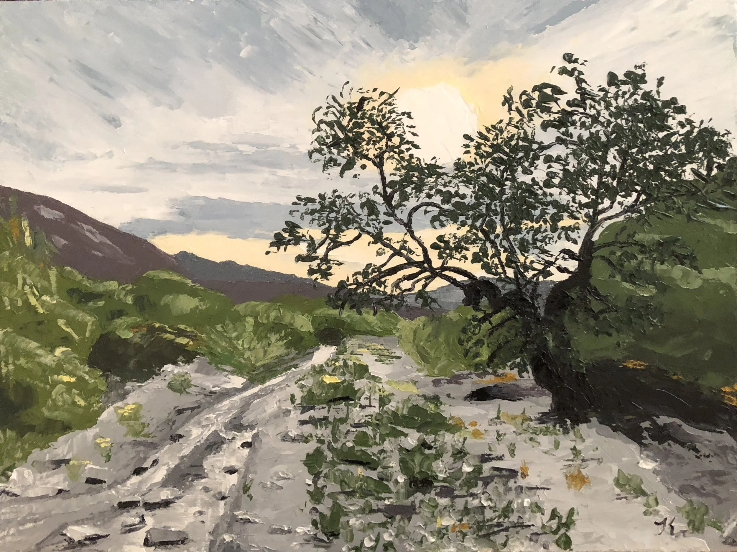 Morongo Spring Sunrise.jpg