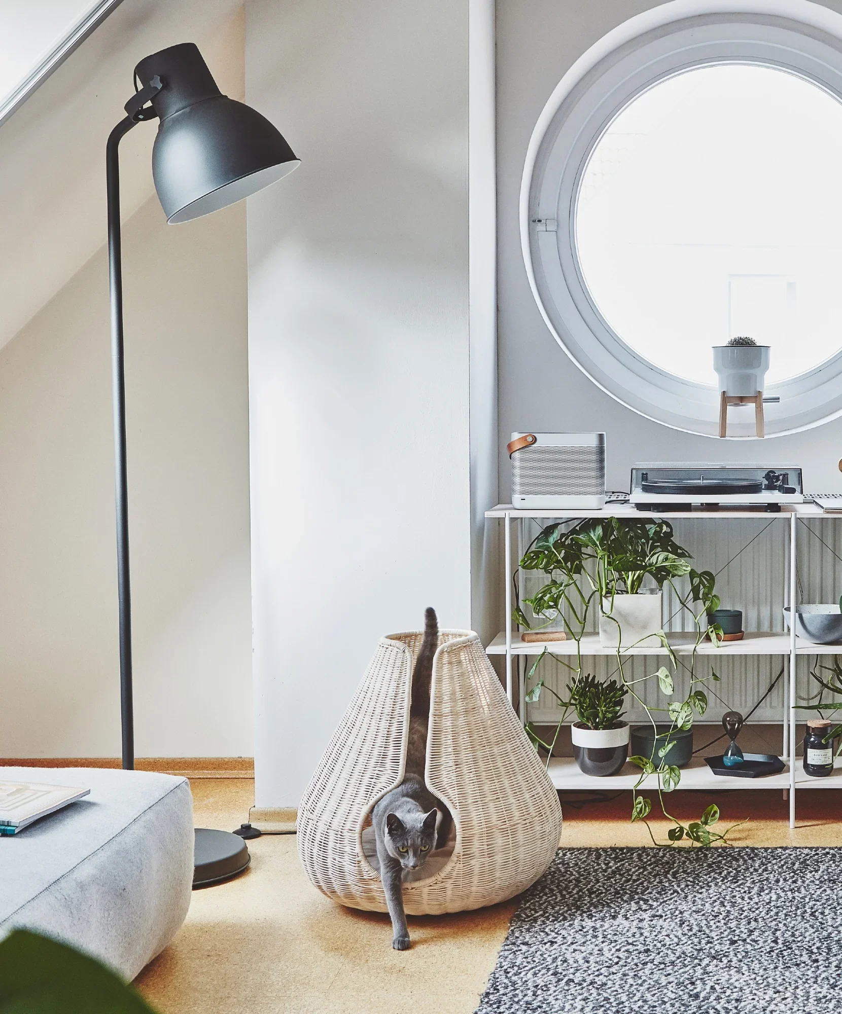 Daniela_Fischli_architetto_interni_pet_design_cat_bed.webp