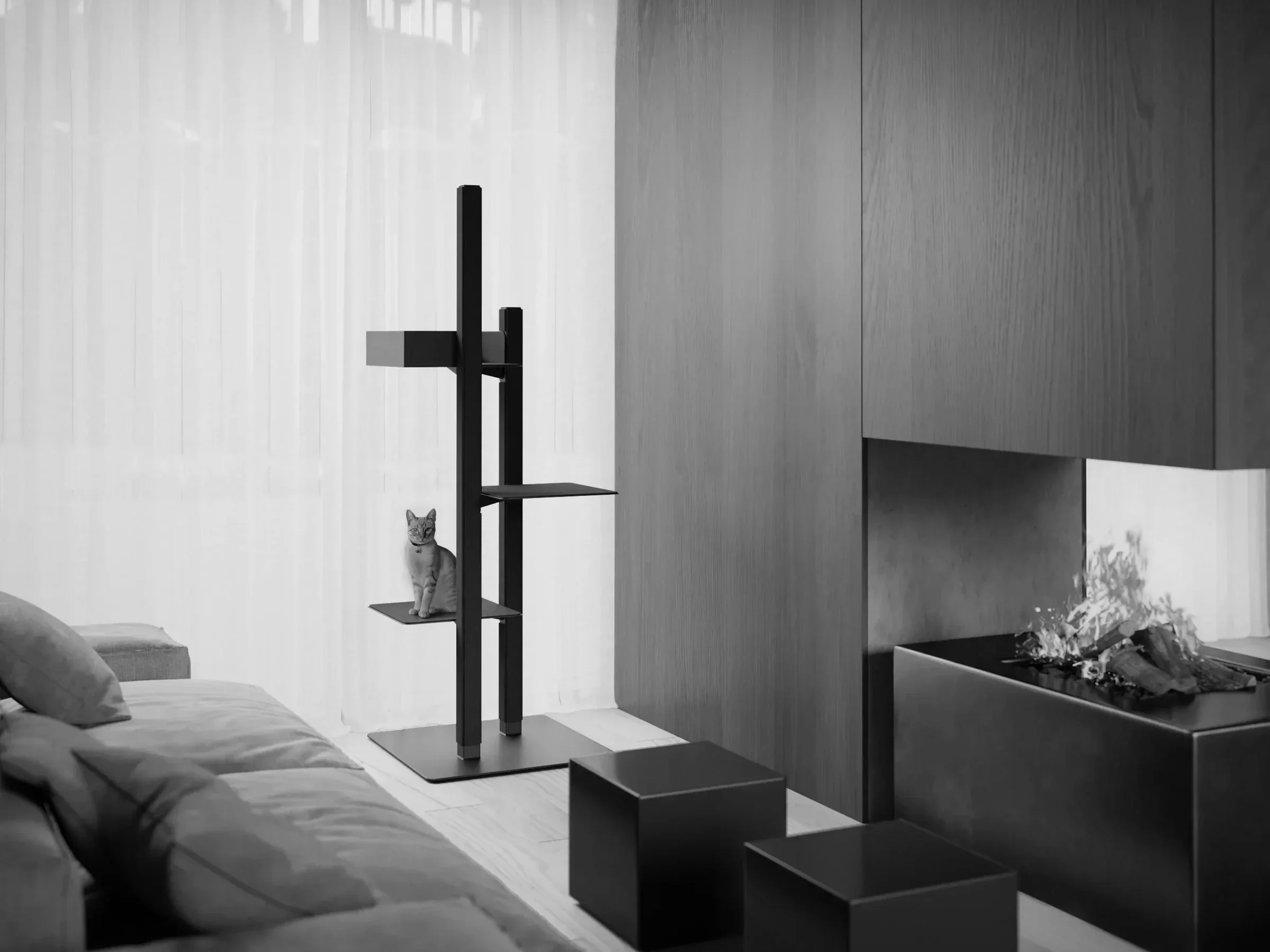 Pet design: una casa a misura di quattro zampe