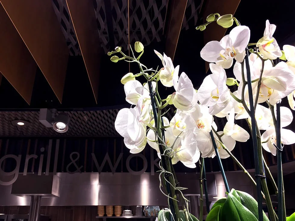MIGROS RISTORANTE E TAKE AWAY USTER ILLUSTER, Zurigo