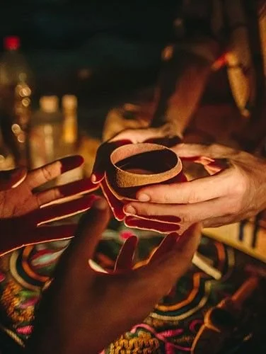 Plant Medicine &amp; Mushrooms: Consciousness Explained