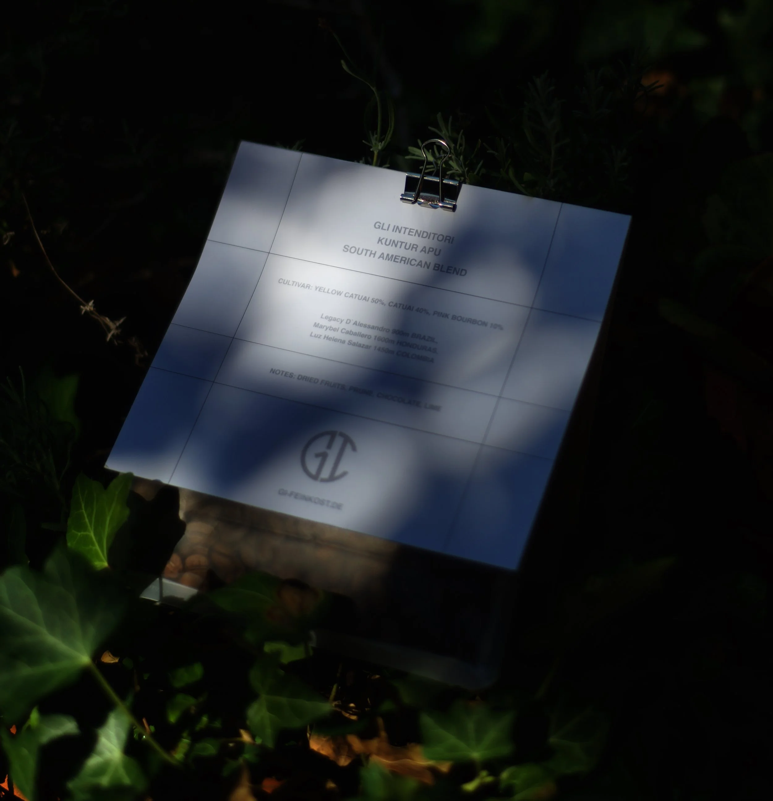 _DSC8190.jpeg