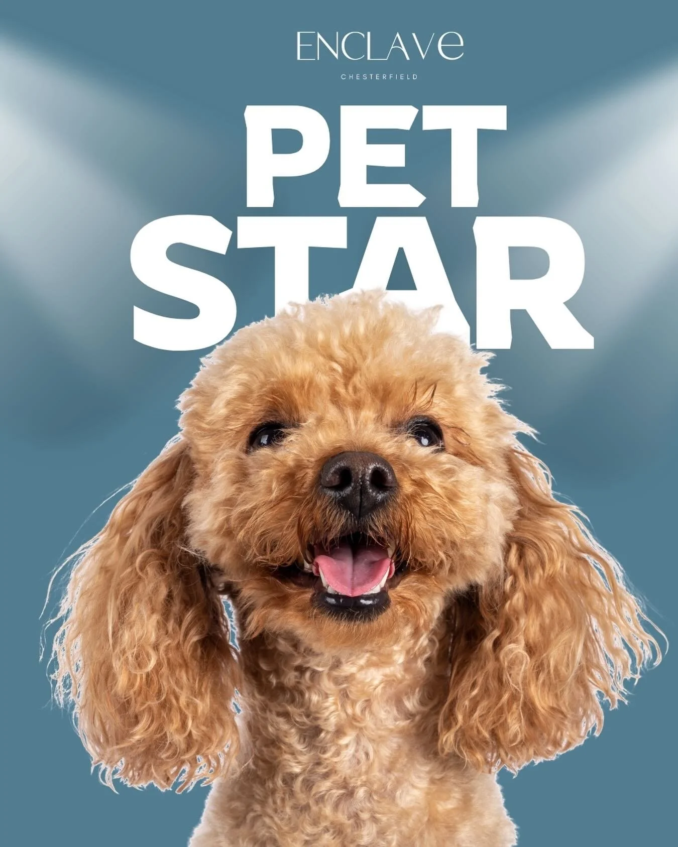 Home isn&rsquo;t complete without our furry friends 🐾 We love welcoming pets and celebrating the joy they bring to our community. Submit your pet for a chance to be featured and share their spotlight moment! ✨

 #PetFriendly #CommunityLiving #PetOfT