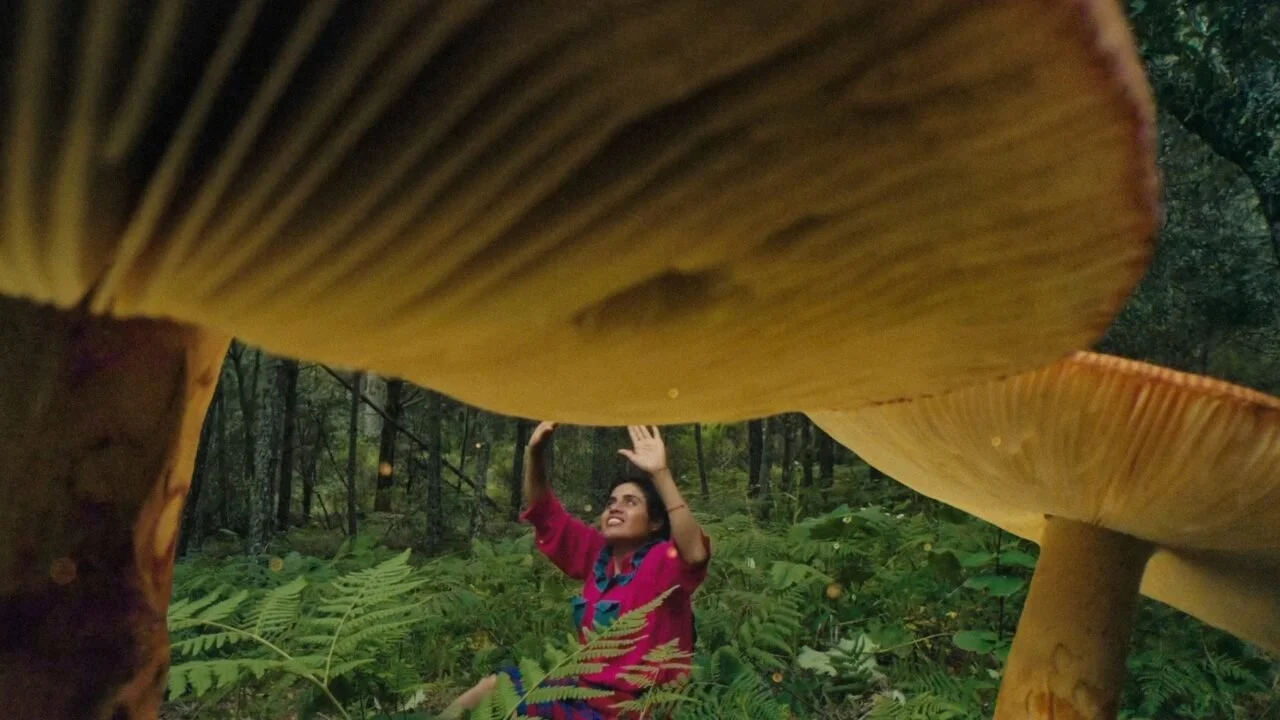 Daughters of the Forest: Mycelium Chronicles