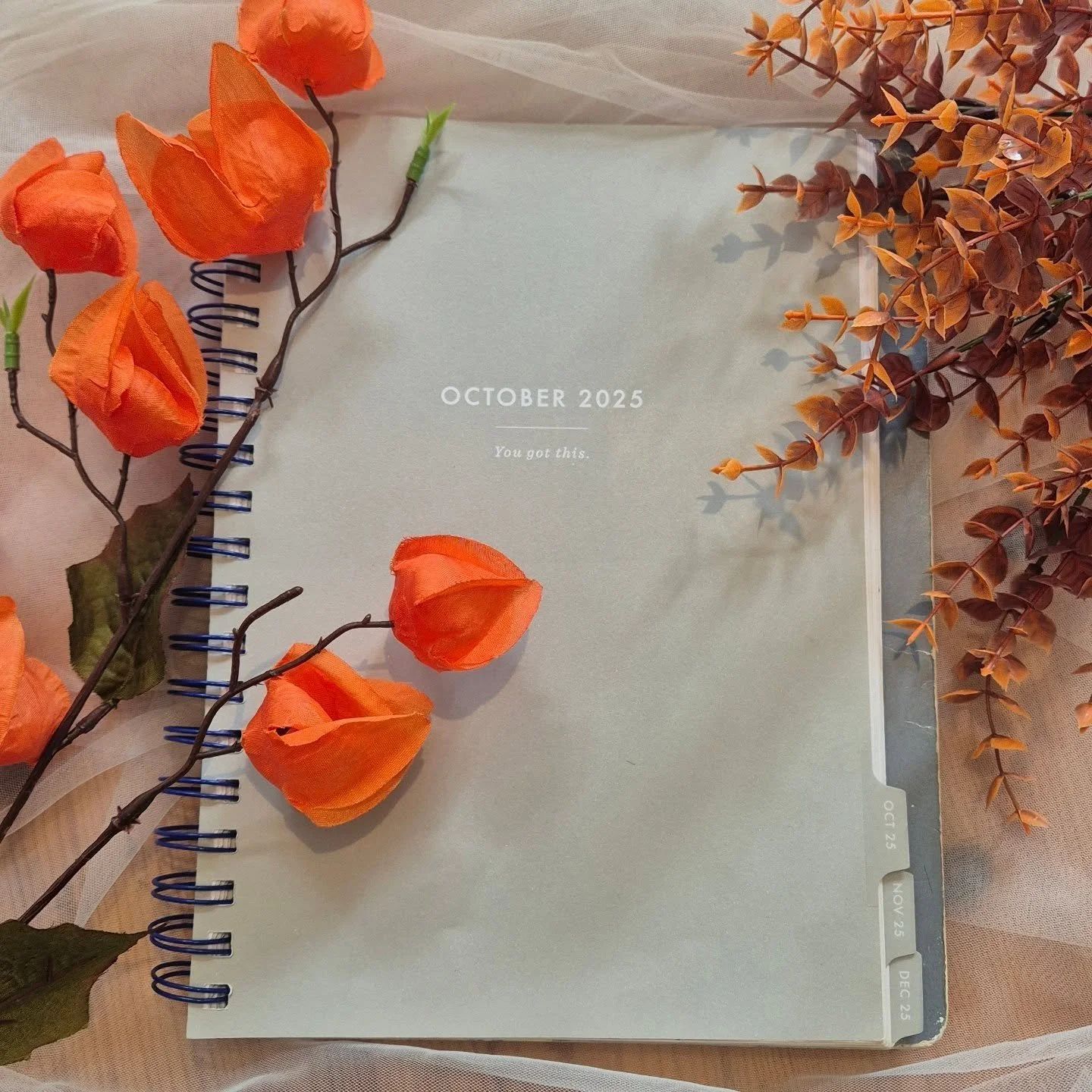 New studio prices from 6th of October 🍁🍂
If anyone needs to change their up upcoming apt due to price increase, thats absolutely no problem all! 
With costs increasing of running a business its important raise my prices in order to make sure i can
