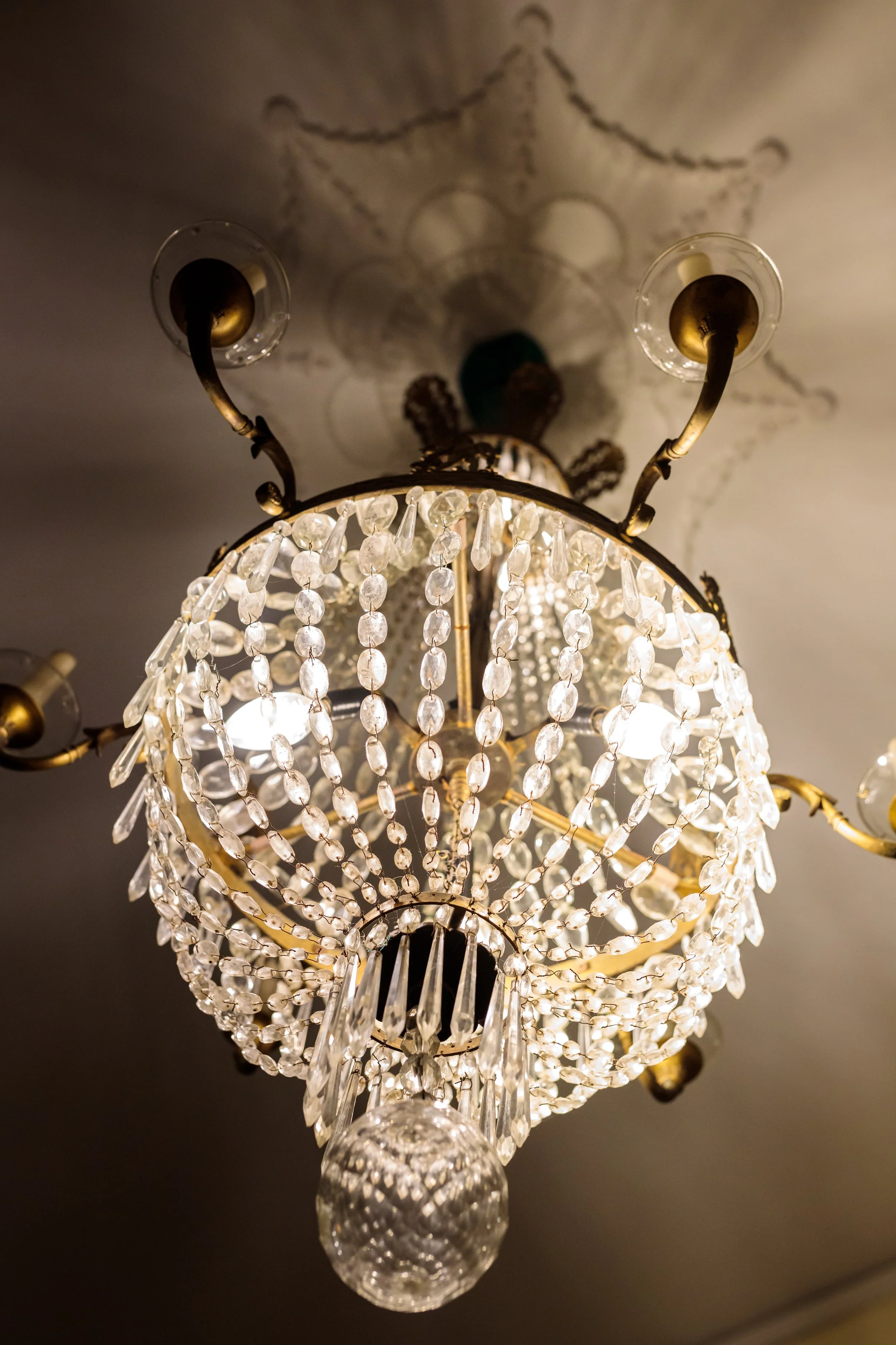 Tamed Wild 012222-140.jpg