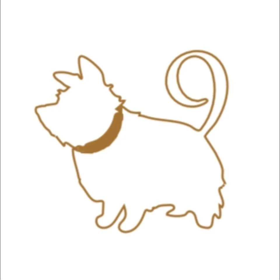 Nine Design - Jenny Hill - Donor