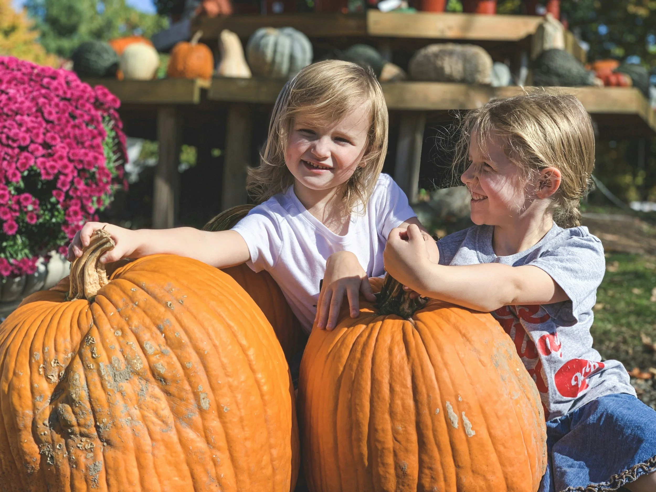 Non-Scary Halloween Craft Ideas for Toddlers and Preschoolers
