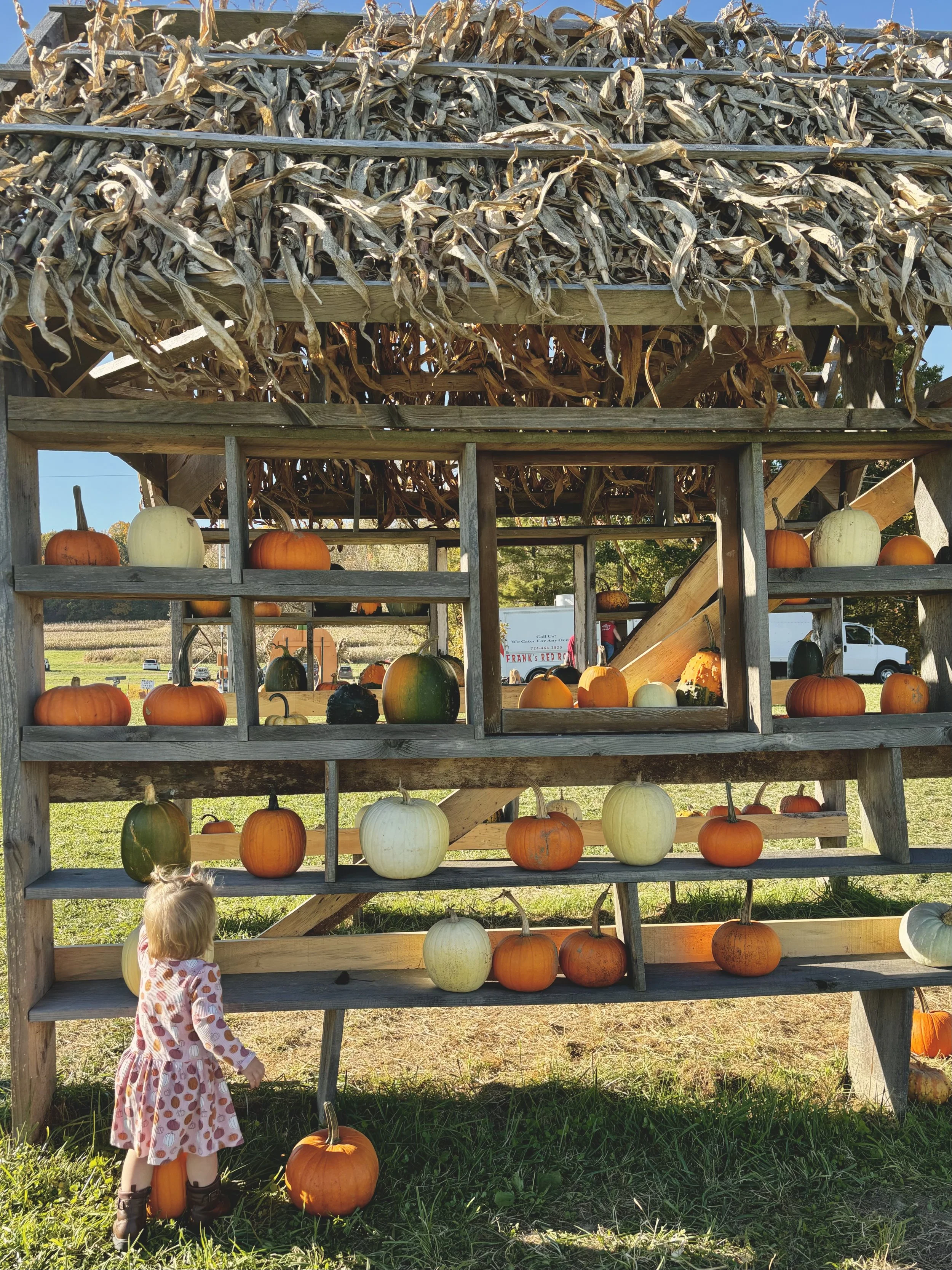 10 Easy Pumpkin Crafts for Toddlers