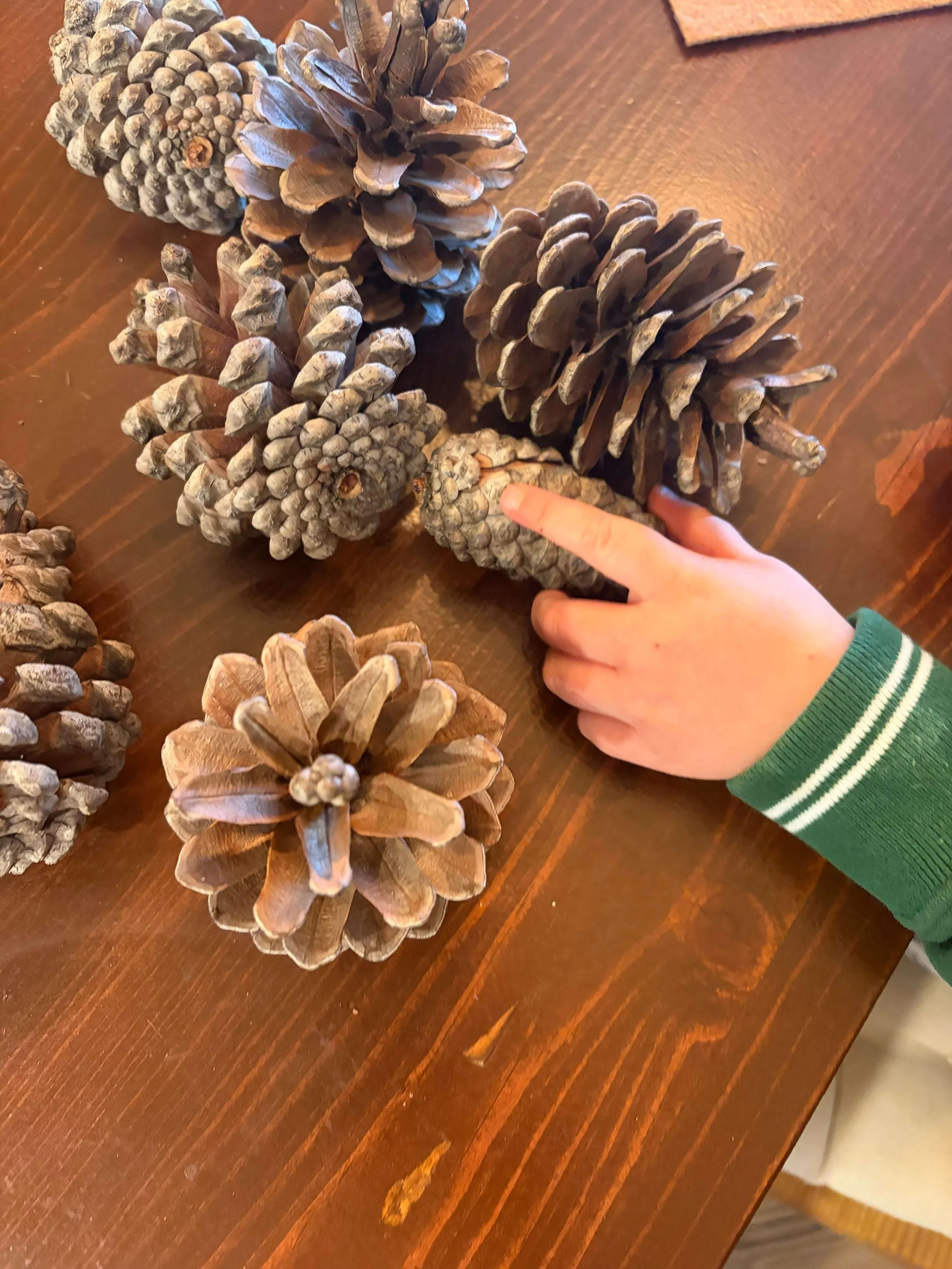 Montessori-Inspired Christmas Shelf Work for Toddlers and Preschoolers