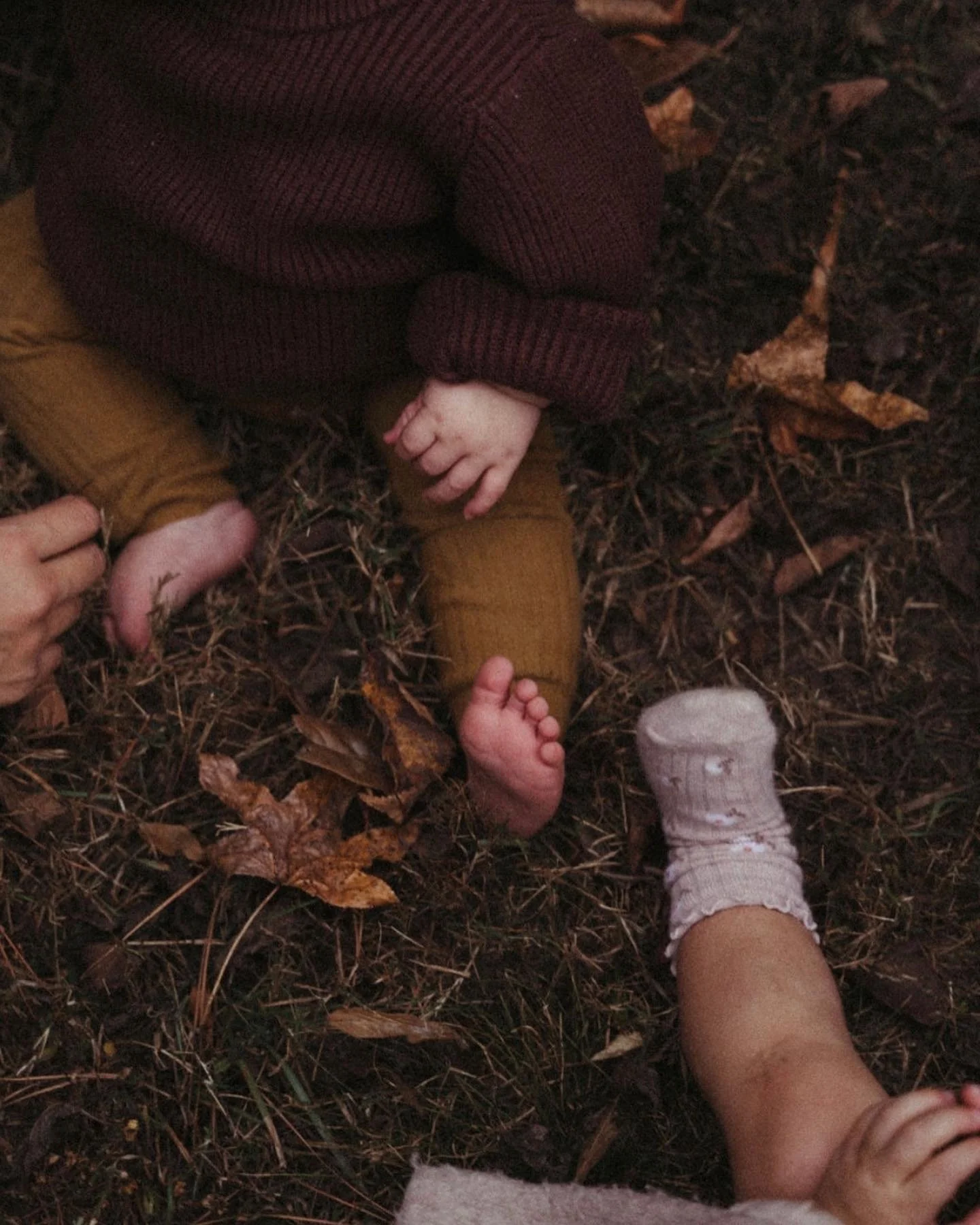 19 Easy Fall Leaf Crafts for Kids