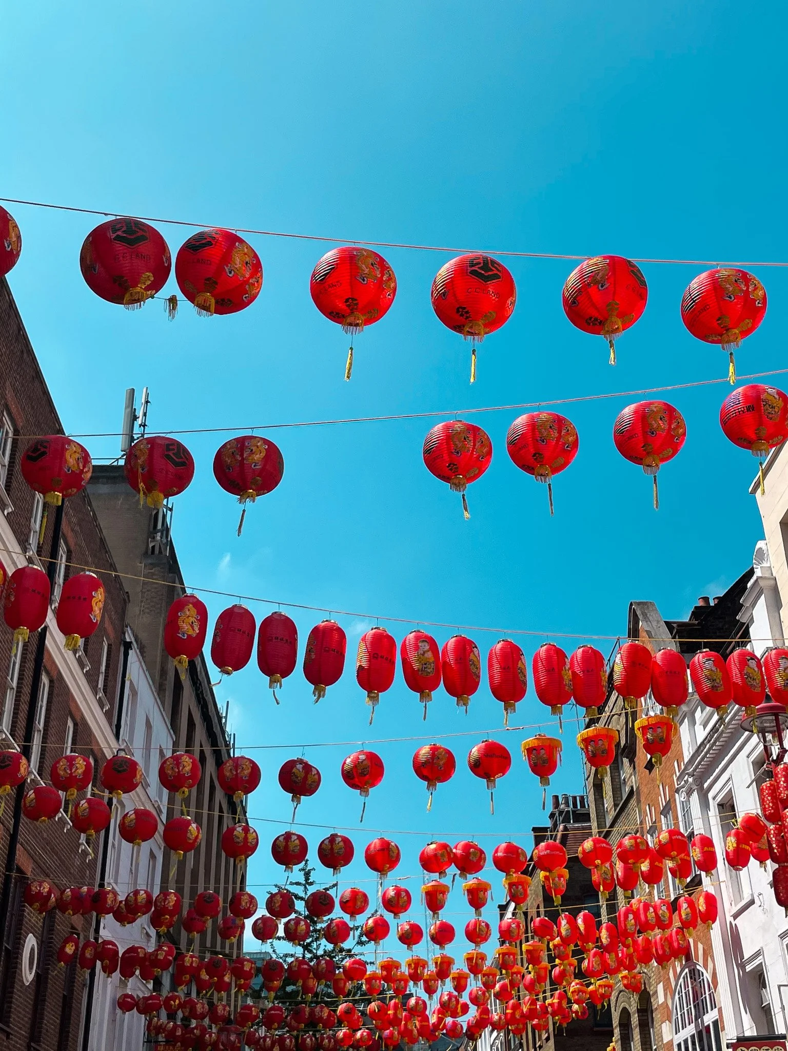 How to Create Your Own Chinese New Year Unit Study