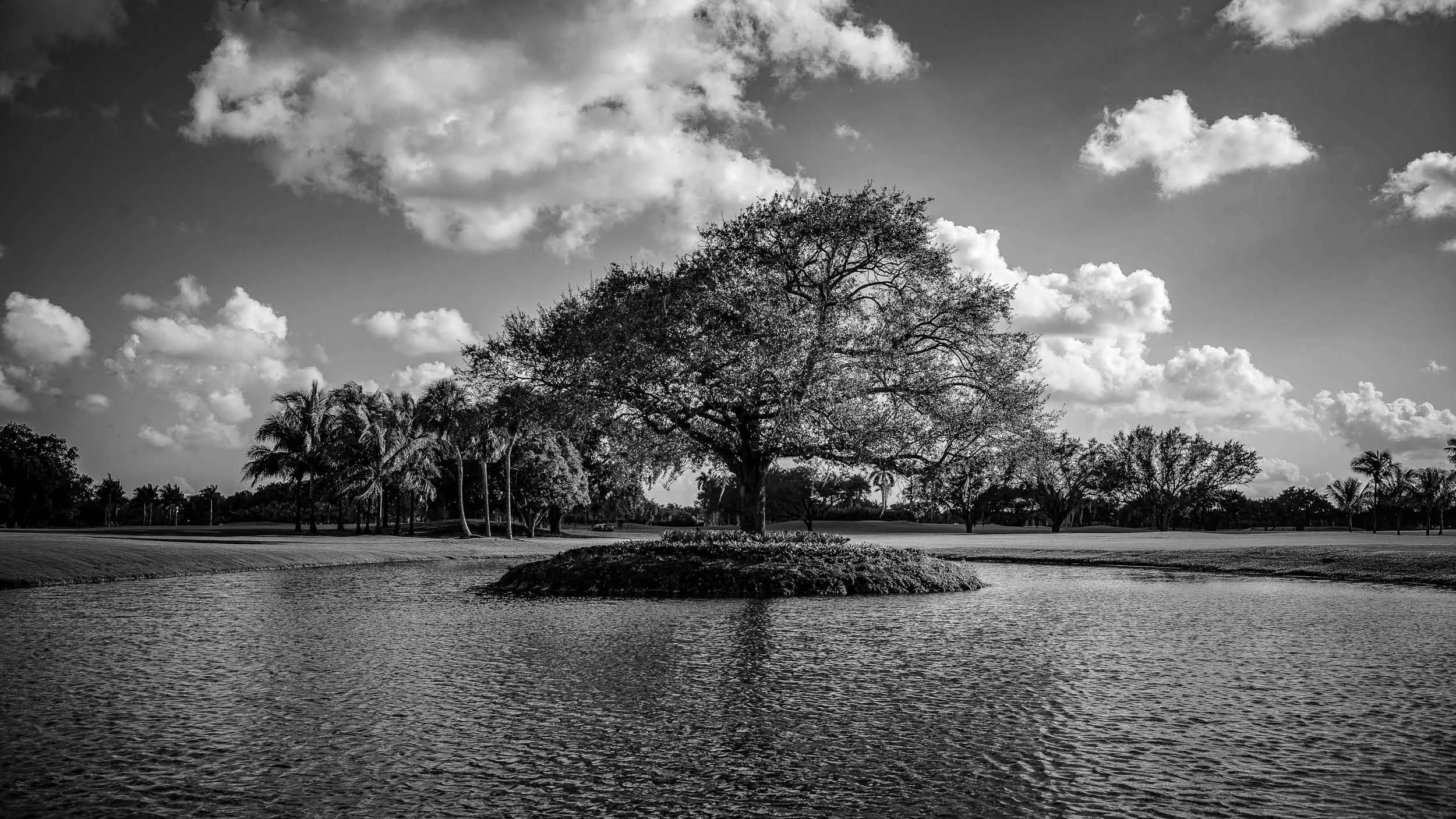 090-527-267-0981-1265-1758-141117-DouglasCoulter-141117-Doug Coulter-2-2-2-2.jpg